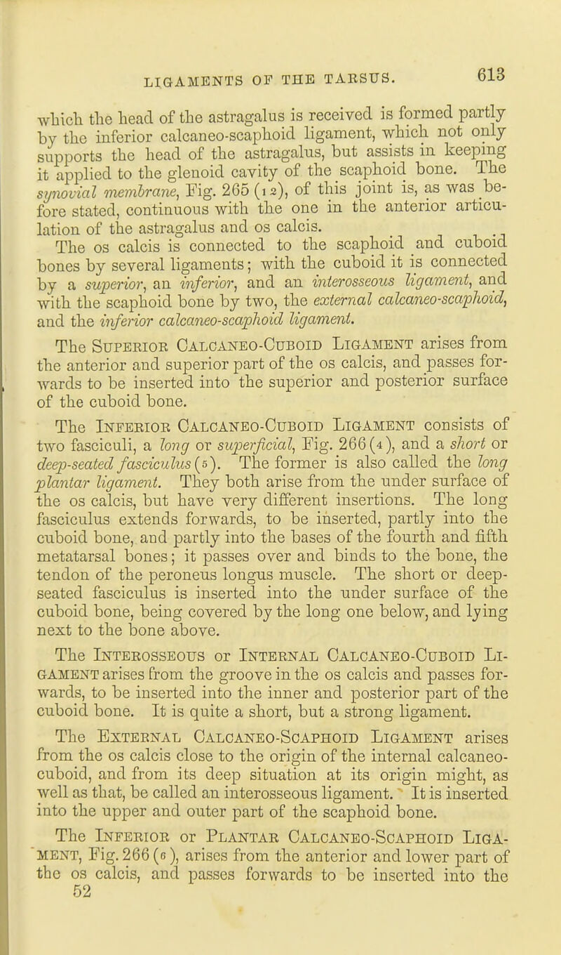 wlilcli the head of the astragcalus is received is formed partly by the inferior calcaneo-scaphoid ligament, which not only supports the head of the astragalus, but assists in keeping it applied to the glenoid cavity of the scaphoid bone. The synovial membrane, Fig. 265 (12), of this joint is, as was be- fore stated, continuous with the one in the anterior articu- lation of the astragalus and os calcis. The OS calcis is connected to the scaphoid and cuboid bones by several ligaments; with the cuboid it is connected by a superior, an inferior, and an interosseous ligament, and with the scaphoid bone by two, the external calcaneo-scaphoid, and the inferior calcaneo-scapJwid ligament. The Superior Oalo^sjteo-Cuboid Ligament arises from the anterior and superior part of the os calcis, and passes for- wards to be inserted into the superior and posterior surface of the cuboid bone. The Inferior Oalcaneo-Cuboid Ligament consists of two fasciculi, a long or superficial, Fig. 266(4), and a sliort or deep-seated fasciculus {5). The former is also called the long plantar ligament. They both arise from the under surface of the OS calcis, but have very different insertions. The long fasciculus extends forwards, to be inserted, partly into the cuboid bone, and partly into the bases of the fourth and fifth metatarsal bones; it passes over and binds to the bone, the tendon of the peroneus longus muscle. The short or deep- seated fasciculus is inserted into the under surface of the cuboid bone, being covered by the long one below, and lying next to the bone above. The Interosseous or Internal Oalcaneo-Cuboid Li- gament arises from the groove in the os calcis and passes for- wards, to be inserted into the inner and posterior part of the cuboid bone. It is quite a short, but a strong ligament. The External Oalcaneo-Scaphoid Ligament arises from the os calcis close to the origin of the internal calcaneo- cuboid, and from its deep situation at its origin might, as well as that, be called an interosseous ligament. It is inserted into the upper and outer part of the scaphoid bone. The Inferior or Plantar Oalcaneo-Scaphoid Liga- ment, Fig. 266 (6), arises from the anterior and lower part of the os calcis, and passes forwards to be inserted into the 52
