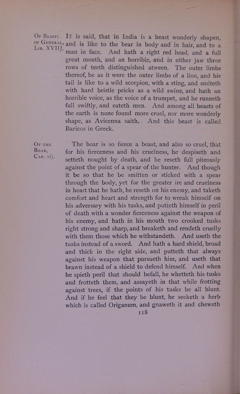 Of Beasts It is said, that in India is a beast wonderly shapen, IN General, and like to the bear in bod and .fl haj d Lib. a VII). . . , , . . , man in face. And hath a right red head, and a full great mouth, and an horrible, and in either jaw three rows of teeth distinguished atween. The outer limbs thereof, be as it were the outer limbs of a lion, and his tail is like to a wild scorpion, with a sting, and smiteth with hard bristle pricks as a wild swine, and hath an horrible voice, as the voice of a trumpet, and he runneth full swiftly, and eateth men. And among all beasts of the earth is none found more cruel, nor more wonderly shape, as Avicenna saith. And this beast is called Baricos in Greek. Of the The boar is so fierce a beast, and also so cruel, that Boar, for j^s fierceness and his cruelness, he despiseth and setteth nought by death, and he reseth full piteously against the point of a spear of the hunter. And though it be so that he be smitten or sticked with a spear through the body, yet for the greater ire and cruelness in heart that he hath, he reseth on his enemy, and taketh comfort and heart and strength for to wreak himself on his adversary with his tusks, and putteth himself in peril of death with a wonder fierceness against the weapon of his enemy, and hath in his mouth two crooked tusks right strong and sharp, and breaketh and rendeth cruelly with them those which he withstandeth. And useth the tusks instead of a sword. And hath a hard shield, broad and thick in the right side, and putteth that always against his weapon that pursueth him, and useth that brawn instead of a shield to defend himself. And when he spieth peril that should befall, he whetteth his tusks and frotteth them, and assayeth in that while frotting against trees, if the points of his tusks be all blunt. And if he feel that they be blunt, he seeketh a herb which is called Origanum, and gnaweth it and cheweth