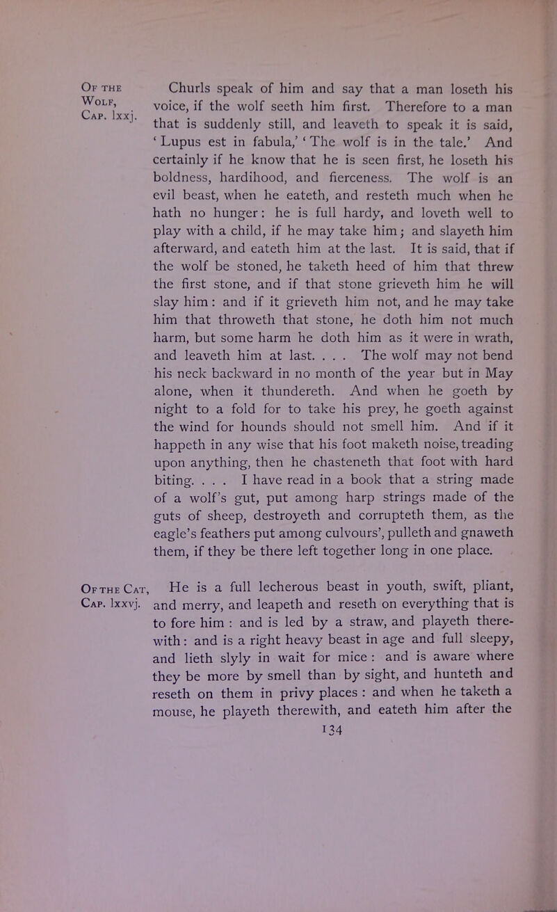 Of the Churls speak of him and say that a man loseth his Wolf, voice, if the wolf seeth him first. Therefore to a man C-* AP lXX 1 that is suddenly still, and leavcth to speak it is said, ' Lupus est in fabula,' ' The wolf is in the tale.' And certainly if he know that he is seen first, he loseth his boldness, hardihood, and fierceness. The wolf is an evil beast, when he eateth, and resteth much when he hath no hunger: he is full hardy, and loveth well to play with a child, if he may take him; and slayeth him afterward, and eateth him at the last. It is said, that if the wolf be stoned, he taketh heed of him that threw the first stone, and if that stone grieveth him he will slay him: and if it grieveth him not, and he may take him that throweth that stone, he doth him not much harm, but some harm he doth him as it were in wrath, and leaveth him at last. . . . The wolf may not bend his neck backward in no month of the year but in May alone, when it thundereth. And when he goeth by night to a fold for to take his prey, he goeth against the wind for hounds should not smell him. And if it happeth in any wise that his foot maketh noise, treading upon anything, then he chasteneth that foot with hard biting. ... I have read in a book that a string made of a wolf's gut, put among harp strings made of the guts of sheep, destroyeth and corrupteth them, as the eagle's feathers put among culvours', pulleth and gnaweth them, if they be there left together long in one place. Of the Cat, He is a full lecherous beast in youth, swift, pliant, Cap. lxxvj. ancj merry, and leapeth and reseth on everything that is to fore him : and is led by a straw, and playeth there- with : and is a right heavy beast in age and full sleepy, and lieth slyly in wait for mice : and is aware where they be more by smell than by sight, and hunteth and reseth on them in privy places : and when he taketh a mouse, he playeth therewith, and eateth him after the