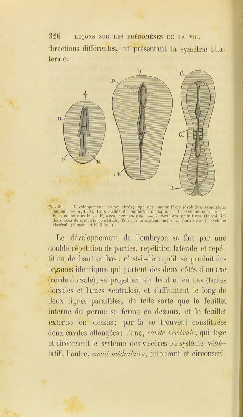 FiG. 39. — Ddvcloppemoiit des vcrliibros ; type dos niamniifèi'es (évolution symétrique double). — A, B, C, trois stades de l'embryon du lapin. — D, système nerveux. — E, bandelette axile. — F, arca gevminativa. — G, vertèbres primitives. On voit ici doux axes de symétrie constitués, l'un par le système nerveux, l'autre par le système viscéral. (Ilcusen et Kollikcr.) Le développement de l'embryon se fait par une double répétition de parties, repétition latérale et répé- tition de haut en bas : c'est-à-dire qu'il se produit des organes identiques qui partent des deux côtés d'un axe (corde dorsale), se projettent en haut et en bas (lames dorsales et lames ventrales), et s'affrontent le long de deux lignes parallèles, de telle sorte que le feuillet interne du germe se ferme eu dessous, et le feuillet externe en dessus; par là se trouvent constituées deux cavités allongées : l'une, cavité viscérale, qui loge et circonscrit le système des viscères ou système végé- tatif; l'autre, cavité médullaire^ entourant et circonscri-