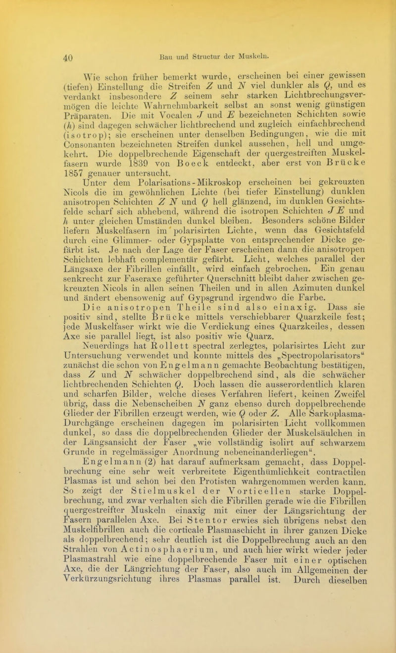 Wie schon früher bemerkt wurde, erscheinen bei einer gewissen (tiefen) Einstellung die Streifen Z und viel dunkler als Q, und es verdankt insbesondere Z seinem sehr starken Lichtbrechungsver- mögen die leichte Wahrnehmbarkeit selbst an sonst wenig günstigen Präparaten. Die mit Vocalen J und E bezeichneten Schichten sowie (A) sind dagegen schwächer lichtbrechend und zugleich einfachbrecliend (isotrop); sie erscheinen unter denselben Bedingungen, wie die mit Consonanten bezeichneten Streifen dunkel aussehen, hell und umge- kehrt. Die doppelbrechende Eigenschaft der quergestreiften Muskel- fasern wurde 1839 von Boeck entdeckt, aber erst von Brücke 1857 genauer untersucht. Unter dem Polarisations-Mikroskop erscheinen bei gekreuzten Nicols die im gewöhnlichen Lichte (bei tiefer Einstellung) dunklen anisotropen Schichten Z N und Q hell glänzend, im dunklen Gesichts- felde scharf sich abhebend, während die isotropen Schichten JE und h unter gleichen Umständen dunkel bleiben. Besonders schöne Bilder liefern Muskelfasern im' polarisirten Lichte, wenn das Gesichtsfeld durch eine Glimmer- oder Gypsplatte von entsprechender Dicke ge- färbt ist. Je nach der Lage der Faser erscheinen dann die anisotropen Schichten lebhaft complementär gefärbt. Licht, welches parallel der Längsaxe der Fibrillen einfällt, wird einfach gebrochen. Ein genau senkrecht zur Faseraxe geführter Querschnitt bleibt daher zwischen ge- kreuzten Nicols in allen seinen Theilen und in allen Azimuten dunkel und ändert ebensowenig auf Gypsgrund irgendwo die Farbe. Die anisotropen Theile sind also einaxig. Dass sie positiv sind, stellte Brücke mittels verschiebbarer Quarzkeile fest; jede Muskelfaser Avirkt wie die Verdickung eines Quarzkeiles, dessen Axe sie parallel Hegt, ist also positiv wie Quarz. Neuerdings hat Rollett spectral zerlegtes, polarisirtes Licht zur Untersuchung verwendet und konnte mittels des „Spectropolarisators zunächst die schon von Engelmann gemachte Beobachtung bestätigen, dass Z und N schwächer doppelbrechend sind, als die schwächer lichtbrechenden Schichten Q. Doch lassen die ausserordentlich klaren und scharfen Bilder, welche dieses Verfahren liefert, keinen Zweifel übrig, dass die Nebenscheiben N ganz ebenso durch doppelbrechende Glieder der Fibrillen erzeugt werden, wie Q oder Z. Alle Sarkoplasma- Durchgänge erscheinen dagegen im polarisirten Licht vollkommen dunkel, so dass die doppelbrechenden Glieder der Muskelsäulchen in der Längsansicht der Faser „Avie vollständig isolirt auf schwarzem Grunde in regelmässiger Anordnung nebeneinanderliegen. Engelmann (2) hat darauf aufmerksam gemacht, dass Doppel- brechung eine sehr weit verbreitete Eigenthümlichkeit contractilen Plasmas ist und schon bei den Protisten wahrgenommen werden kann. So zeigt der Stielmuskel der Vorticeilen starke Doppel- brechung, und zAvar verhalten sich die Fibrillen gerade wie die Fibrillen quergestreifter Muskeln einaxig mit einer der Längsrichtung der Fasern parallelen Axe. Bei Stentor erAAdes sich übrigens nebst den Muskelfibrillen auch die corticale Plasmaschicht in ihrer ganzen Dicke als doppelbrechend; sehr deutlich ist die Doppelbrechung auch an den Strahlen von Actinosphaerium, und auch hier wirkt Avieder jeder Plasmastrahl Avie eine doppelbrechende Faser mit einer optischen Axe, die der Längrichtung der Faser, also auch im Allgemeinen der Verkürzungsrichtung ihres Plasmas parallel ist. Durch dieselben