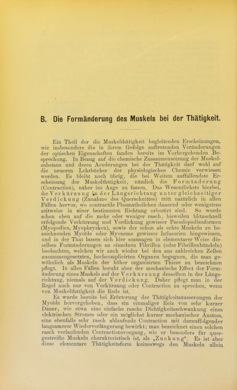 B. Die Formänderung des Muskels bei der Tliätigl<eit. Ein Theil der die Muskeltliätigkeit begleitenden Erscheinungen, wie insbesondere die in ihrem Gefolge auftretenden Veränderungen der optischen Eigenschaften fanden bereits im Vorhergehenden Be- sprechung. In Bezug auf die chemische Zusammensetzung der Muskel- substanz und deren Aenderungen bei der Thätigkeit darf wohl auf die neuex'en Lehrbücher der physiologischen Chemie verwiesen werden. Es bleibt noch übrig, die bei Weitem auffallendste Er- scheinung der Muskel thätigkeit, nämlich die Formänderung (Contraction), näher ins Auge zu fassen. Das Wesentlichste hierbei, die Verkürzung i,n de r Längsr ichtung u n ter gleichzeitiger Verdickung (Zunahme des Querschnittes) tritt natürlich in allen Fällen hervor, wo contractile Plasmatlieilchen dauernd oder wenigstens zeitweise in einer bestimmten Richtung orientirt sind. So wurde schon oben auf die mehr oder weniger rasch, bisAveilen blitzschnell erfolgende Verkürzung und Verdickung gcMnsser Pseudopodienformen (Myopodien, Myophrysken), sowie der schon als echte Muskeln zu be- zeichnenden Myoide oder Myoneme gewisser Infusorien hingewiesen, und in der That lassen sich hier sozusagen in elementarer Weise die- selben Formänderungen an einzelnen Fibrillen (oder Fibrillenbündeln) beobachten, welchen wir auch wieder bei den aus zahlreichen Zellen zusammengesetzten, hochcoraplicirten Organen begegnen, die man ge- wöhnlich als Muskeln der höher organisirten Thiere zu bezeichnen pflegt. In allen Fällen beruht aber der mechanische Effect der Form- änderung eines Muskels auf der Verkürzung desselben in der Längs- richtung, niemals auf der Verdickung, Daher pflegt man in der Regel auch nur von Verkürzung oder Contraction zu sprechen, wenn von Muskelthätigkeit die Rede ist. Es wurde bereits bei Erörterung der Thätigkeitsäusserungen der Myoide hervorgehoben, dass ein einmaliger Reiz von sehr kurzer Dauer, Avie etwa eine einfache rasche Dichtigkeitsschwankung eines elektrischen Stromes oder ein möglichst kurzer mechanischer Anstoss, eine ebenfalls sehr rasch ablaufende Contraction mit darauffolgender langsamerer Wiederverlängerung bewirkt; man bezeichnet einen solchen rasch verlaufenden Contractionsvorgang, wie er besonders für quer- gestreifte Muskeln charakteristisch ist, als „Zuckung. Es ist aber diese elementare Thätigkeitsform keineswegs den Muskeln allein