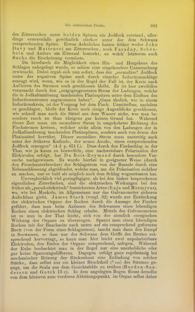 des Zitterrochen unter beiden Spitzen ein Jodfleck entstand, aller- dings ersterenfalls gewöhnlich stärker unter der dem Schwanz entsprechenden Spitze. Etwas Aehnliches hatten früher weder John Davy und Matteucci am Zitterrochen, noch Farad ay, Schön- bein und Andere am Zitteraal bemerkt, an welch' letzterem auch Sachs die Erscheinung vermisste. Da hierdurch die Möglichkeit eines Hin - und Hergehens des Schlages nahegelegt wurde, so schien eine eingehendere Untersuchung erwünscht. Dabei ergab sich nun sofort, dass der „secundäre Jodfleck unter der negativen Spitze auch durch einzelne Inductionsschläge erzeugt Avird, wenn, wie es in der Regel der Fall ist, der Kreis nach Aufhören des Stromes noch geschlossen bleibt. Er ist hier zweifellos verursacht durch den „entgegengesetzten Strom der Ladungen, welche die in Jodkaliumlösung tauchenden Platinspitzen unter dem Einfluss des Inductionsstromes angenommen haben. „Ganz ähnlich, wie in einem Inductionskreis, ist der Vorgang bei dem Fisch. Unmittelbar, nachdem er geschlagen, bleibt der Kreis noch einige Augenblicke geschlossen, wie schnell man auch die Sättel aus dem Wasser ziehe, was man be- sonders rasch zu thun übrigens gar keinen Grund hat. Während dieser Zeit muss ein secundärer Strom in umgekehrter Richtung des Fischstromes kreisen, welcher nicht allein von den Ladungen der in Jodkaliumlösung tauchenden Platinspitzen, sondern auch von denen der Platinsättel herrührt. Dieser secundäre Strom muss unstreitig auch unter der früheren Kathode, der neuen Anode, einen entsprechenden Jodfleck erzeugen (4 d p. 651 f.), Dass durch den Fischschlag in der That, wie ja kaum zu bezweifeln, eine nachweisbare Polarisation der Elektroden erfolgt, hat Du Bois-Reymond durch besondere Ver- suche nachgewiesen. Es wurde hierbei in geeigneter Weise (durch den Froschunterbrecher) der Schlagstrom von der Bussole durch eine Nebenschliessung abgeblendet, welche man, um die Polarisation sichtbar zu machen, nur so bald als möglich nach dem Schlag wegzuräumen hat. Unvergleichlich viel geringfügiger, als bei den bisher besprochenen eigentlichen Zitterfischen, sind die elektrischen Wirkungen bei den früher als „pseudoelektrisch bezeichneten Arten (Raj a und Mormyrus), wo, wie bei Muskeln, im Allgemeinen nur das Galvanometer sicheren Aufschluss giebt. James Stark (vergl. 32) wurde zur Entdeckung der elektrischen Organe der Rochen durch die Aussage der Fischer geführt, dass man beim Anfassen des Schwanzes eines lebendigen Rochen einen elektrischen Schlag erhalte. Mittels des Galvanometers ist es nun in der That leicht, sich von der ziemlich energischen Wirkung der Organe zu überzeugen. Spannt man einen lebendigen Rochen mit der Bauchseite nach unten auf ein entsprechend geformtes Brett (von der Form eines Schlagnetzes), taucht man dann den Rumpf in Seewasser, so dass nur der Schwanz dem Grifle des Brettes ent- sprechend hervorragt, so kann man hier leicht zwei unpolarisirbare Elektroden, den Enden der Organe entsprechend, anlegen. Während der Ruhe beobachtet man in der Regel nur eine unerhebliche oder gar keine Spannungsdiff'erenz. Dagegen erfolgt ganz regelmässig bei mechanischer Reizung der Rückenhaut eine Entladung von solcher Stärke, dass selbst nur ein kleiner Bruchtheil (^/loo) des Stromes ge- nügt, um die Scala aus dem Gesichtsfelde zu treiben (Burdon-San- ders on und Gotch 13 c). In dem angelegten Bogen fliesst derselbe von dem hinteren zum vorderen Ableitungspunkt, im Organ selbst daher