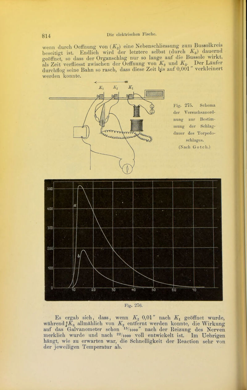 wenn durch Oeffnimg von (K^) eine Nebenschliessimg zum Bussolkreis beseitigt ist. Endlich wird der letztere selbst (durch K3) dauernd geöffnet, so dass der Organschlag nur so lange auf die Bussole wirkt, als Zeit verfliesst zwischen der Oeffnung von und K^. Der Läufer durchflog seine Bahn so rasch, dass diese Zeit l^is auf 0,001 verkleinert werden konnte. Fi<^. 275. Schema der Versuchsanord- nung zur Bestim- mung: der Schla«?- dauer des Torpedo- schlages. (Nach Gotcli.) 500 Ann Ii • — inn IL ■ • H 1 200 inn i > • 1 IUI) > • 1 0 10 20 30 40 ■ 5 0 e 50 1 0 Fig. 276. Es ergab sich, dass, wenn K2 0,01 nach Ki geöffnet wurde, während allmählich von K2 entfernt werden konnte, die Wirkung auf das Galvanometer schon ^^/looo nach der Reizung des Nerven merklich wurde und nach ^^/looo voll entwickelt ist. Im Uebrigen hängt, wie zu erwarten war, die Schnelligkeit der Reaction sehr von der jeweiligen Temperatur ab.