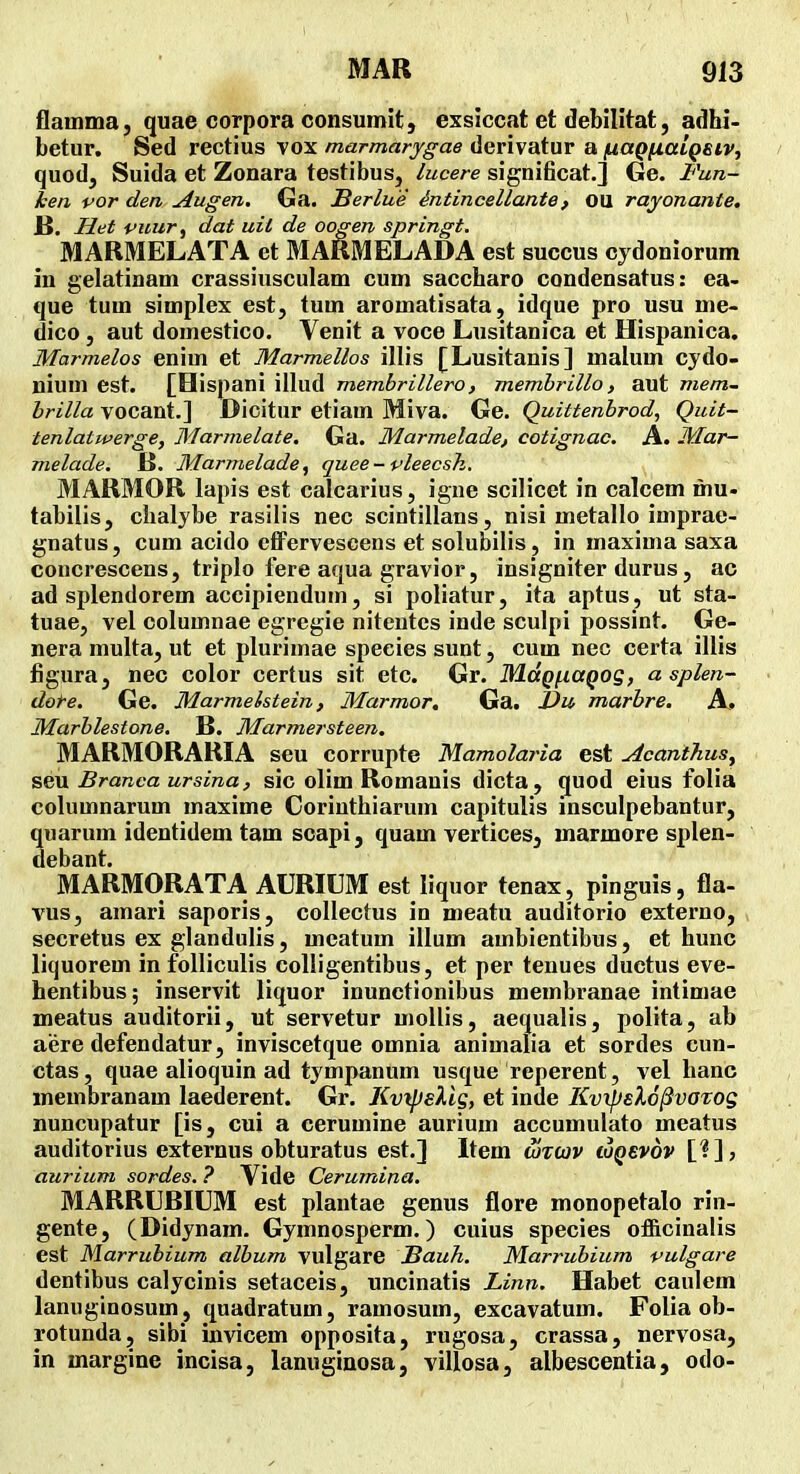 flamma, quae corpora consumit, exsiccat et debilitat, adhi- betur. Sed rectius vox marmarygae derivatur a f^aQfiaiQeiv^ / quod, Suida et Zonara testibus, /ucere significat,] Ge. Fun- ken por den Augen. Ga. Berlue dntincellante, ou rayonante, JB. Het vuur^ dat uit de oogen springt. MARMELATA et MARMELADA est succus cydoniorum iu gelatinam crassiusculam cum saccharo condensatus: ea- que tum simplex est, tum aromatisata, idque pro usu me- dico , aut domestico. Venit a voce Lusitanica et Hispanica. Marmelos enim et Marmellos illis [Lusitanis] malum cydo- uium est. £Hispani illud membrillero, membrillo, aut mem- brilla vocaut.] Dlcitur etiam Miva. Ge. Quittenbrod, Quit- tenlatwerge, Marmelate. Ga. Marmelade, cotignac. A. Mar~ melade. B, Marmelade, quee- pleecsh. MARMOR lapis est calcarius, igne scilicet in calcem mu« tabilis, chalybe rasilis nec scintillans, nisi metallo imprae- gnatus, cum acido cffervescens et solubilis, in maxima saxa concrescens, triplo fere aqua gravior, insigniter durus, ac ad splendorem accipiendum, si poliatur, ita aptus, ut sta- tuae, vel columnae egregie niteutes inde sculpi possint. Ge- nera multa, ut et plurimae speeies sunt, cum nec certa illis figura, nec color certus sit etc. Gr. MdQi.iaQog, a splen- • dof-e. Ge. Marmehstein, Marmor, Ga. t)u marbre. A. Marblestone. B. Marmersteen, MARMORARIA seu corrupte Mamolaria est Acanthus^ seu Branca ursina, sic olim Romanis dicta , quod eius folia columnarum maxime Corinthiarum capitulis insculpebantur, quarum identidem tam scapi, quam vertices, marmore splen- debant. MARMORATA AURIUM est hquor tenax, pinguis, fla- vus, amari saporis, collectus in meatu auditorio externo, secretus ex glandulis, mcatum illum ambientibus, et hunc liquorem in folliculis colligentibus, et per tenues ductus eve- hentibus; inservit liquor inunctionibus membranae intimae meatus auditorii, ut servetur mollis, aequalis, polita, ab aere defendatur, inviscetque omnia animalia et sordes cun- ctas, quae alioquin ad tympanum usque reperent, vel hanc membranam laederent. Gr. Kvtpelig, et inde KvxpeXo^vazog nuncupatur [is, cui a cerumine aurium accumulato meatus auditorius externus obturatus est.] Item ojtwv toQevov [?], aurium sordes. ? Vide Cerumina. MARRUBIUM est plantae genus flore monopetalo rin- gente, (Didynam. Gymnosperm.) cuius species officinalis est Marrubium album vulgare Bauh. Marrubium vulgare dentibus calycinis setaceis, uncinatis Linn. Habet caulem lanuginosum, quadratum, ramosum, excavatum. Folia ob- rotunda, sibi invicem opposita, rugosa, crassa, nervosa, in margine incisa, lanugiuosa, villosa, albescentia, odo-