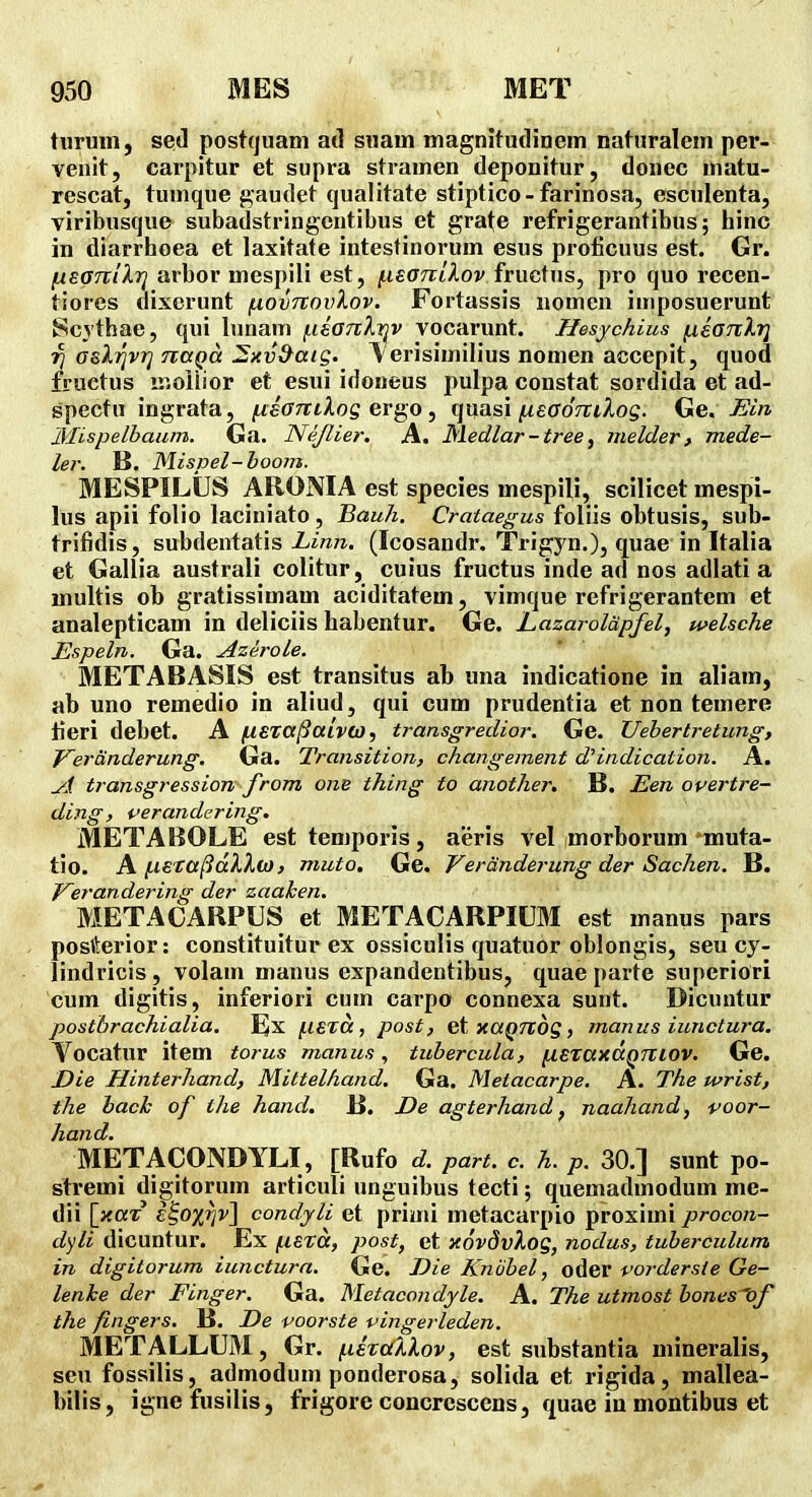 turum, seH postquam ad snam magnitutlinem naturalem per- venit, carpitur et supra stramen deponitur, donec matu- rescat, tumque gaudet qualitate stiptico-farinosa, esculenta, viribusque subadstringcntibus et grate refrigerantibus; hinc in diarrhoea et laxitate intestinorum esus proticuus est. Gr. (xeanlXTi arbor mespili est, (.leaniXov ivucXns, pro quo recen- tiores dixerunt (xovtzovXov. Fortassis nomen imposuerunt Scythae, qui lunam (.isanXTqv vocarunt. Hesychius (ikauXri 7} osXi]vrj naQct ^xv&aig. lerisimilius nomen accepit, quod fruetus uioiiior et esui idoneus pulpa constat sordida et ad- specfu ingrata, (isaTTiXog ergo, quasi ^effosrtAog. Ge. J5in Jllispelbaum. Ga. Nejlier. A. ISledlar - tree ^ melder, mede- ler. B. Mispel-boom. MESPILUS ARONIA est species mespili, scilicet mespi- lus apii folio laciuiato, Bauh. Crataegus foliis obtusis, sub- trifidis, subdentatis Zi«7z. (Icosandr. Trigyn.), quae in Italia et Gallia australi colitur, cuius fructus inde ad nos adlati a multis ob gratissimam aciditatem, vimque refrigerantem et analepticam in deliciis habentur. Ge. Lazarolapfel, welsche Espeln. Ga. Azerole. METABASIS est transitus ab una indicatione in aliam, ab uno remedio in aliud, qui cum prudentia et non temere lieri debet. A (texa^aivoj, transgredior. Ge. Uebertretung, y~eranderung. Ga. Transition, changement d'indication. A. yj transgression from one thing to another. B. Een overtre- ding, verandering. METABOLE est temporis, aeris vel morborum muta- tio. A (leta^dXXb), muto. Ge. Veranderung der Sachen. B. Verandering der zaaken. METACARPUS et METACARPICJM est manus pars posfterior: constituitur ex ossiculis quatuor oblongis, seu cy- lindricis, volam manus expandentibus, quae parte superiori cum digitis, inferiori cum carpo connexa sunt. Dicuntur postbrachialia. Ex (leza, post, et xaQTldg, manus iunctura. Vocatur item torus manus, tubercula, (leTaxaQTiiov. Ge. Die Hinterhand, Mittelhand. Ga. Metacarpe. A. The wrist, the hack of the hand. B. De agterhand, naahand, poor- hand. METACONDYLI, [Rufo d. part. c. h. p. 30.] sunt po- stremi digitorum articuli unguibus tecti; quemadmodum me- dii [xax c^ox^y] condyli et primi metacarpio proximi procon- dyli dicuntur. Ex (leta, post, et xovdvXog, nodus, tuberculum in digitorum iunctura. Ge. Die Knbbel, oder vordersie Ge- lenke der Finger. Ga. Metacondyle. A. The utmost hones^f the fingers. B. De voorste vingerleden. METALLUM, Gr. (lixdXXov, est substantia mineralis, seu fossilis, admodum ponderosa, solida et rigida, mallea- bilis, ignefusilis, frigore concrescens, quae in niontibus et