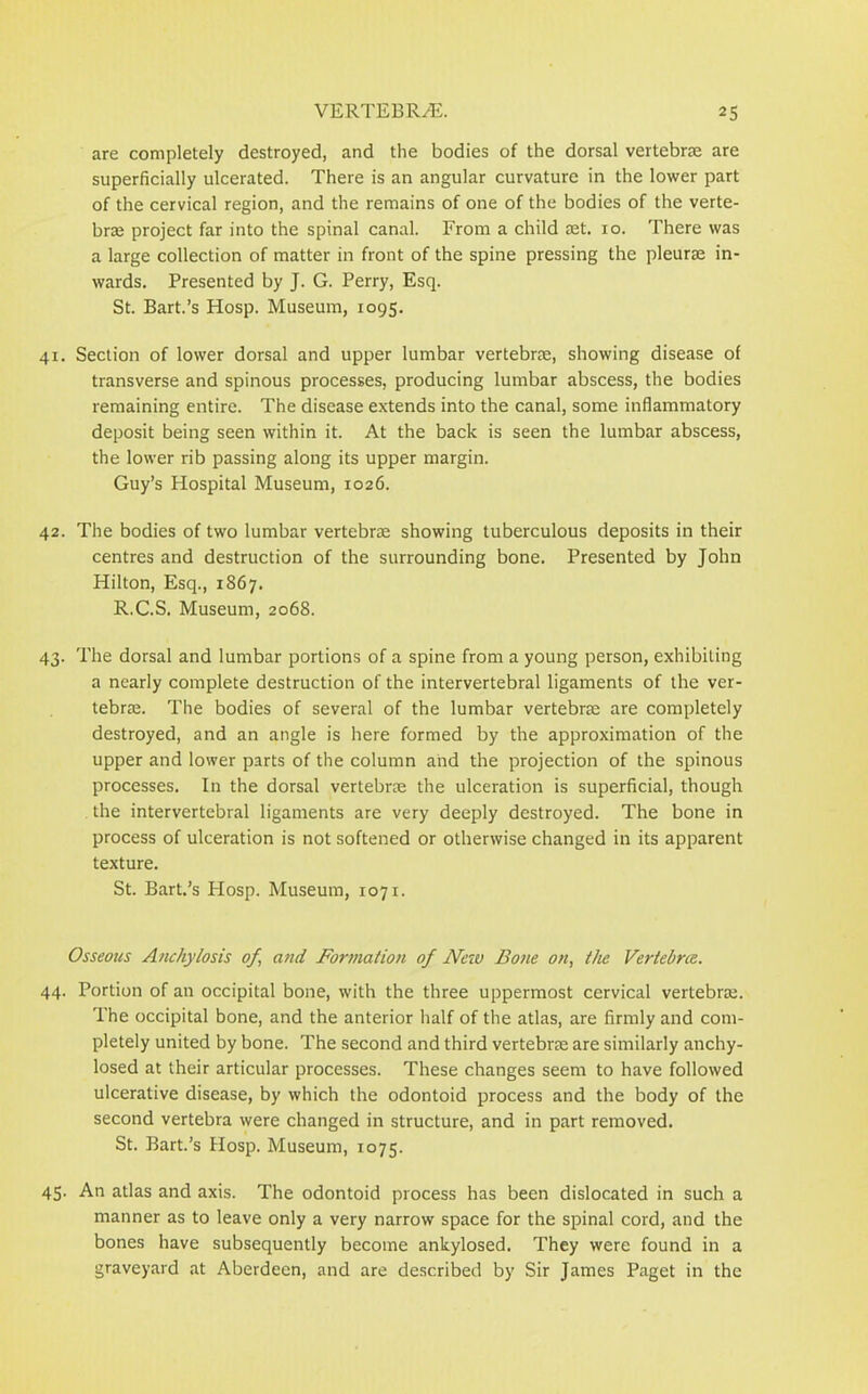 are completely destroyed, and the bodies of the dorsal vertebrae are superficially ulcerated. There is an angular curvature in the lower part of the cervical region, and the remains of one of the bodies of the verte- brae project far into the spinal canal. From a child aet. 10. There was a large collection of matter in front of the spine pressing the pleurae in- wards. Presented by J. G. Perry, Esq. St. Bart.’s Hosp. Museum, 1095. 41. Section of lower dorsal and upper lumbar vertebrae, showing disease of transverse and spinous processes, producing lumbar abscess, the bodies remaining entire. The disease extends into the canal, some inflammatory deposit being seen within it. At the back is seen the lumbar abscess, the lower rib passing along its upper margin. Guy’s Hospital Museum, 1026. 42. The bodies of two lumbar vertebrae showing tuberculous deposits in their centres and destruction of the surrounding bone. Presented by John Hilton, Esq., 1867. R.C.S. Museum, 2068. 43. The dorsal and lumbar portions of a spine from a young person, exhibiting a nearly complete destruction of the intervertebral ligaments of the ver- tebrae. The bodies of several of the lumbar vertebrae are completely destroyed, and an angle is here formed by the approximation of the upper and lower parts of the column and the projection of the spinous processes. In the dorsal vertebrae the ulceration is superficial, though the intervertebral ligaments are very deeply destroyed. The bone in process of ulceration is not softened or otherwise changed in its apparent texture. St. Bart.’s Hosp. Museum, 1071. Osseous Anchylosis of and Formation of New Bone on, the Vertebra. 44. Portion of an occipital bone, with the three uppermost cervical vertebrae. The occipital bone, and the anterior half of the atlas, are firmly and com- pletely united by bone. The second and third vertebrae are similarly anchy- losed at their articular processes. These changes seem to have followed ulcerative disease, by which the odontoid process and the body of the second vertebra were changed in structure, and in part removed. St. Bart.’s Hosp. Museum, 1075. 45. An atlas and axis. The odontoid process has been dislocated in such a manner as to leave only a very narrow space for the spinal cord, and the bones have subsequently become ankylosed. They were found in a graveyard at Aberdeen, and are described by Sir James Paget in the