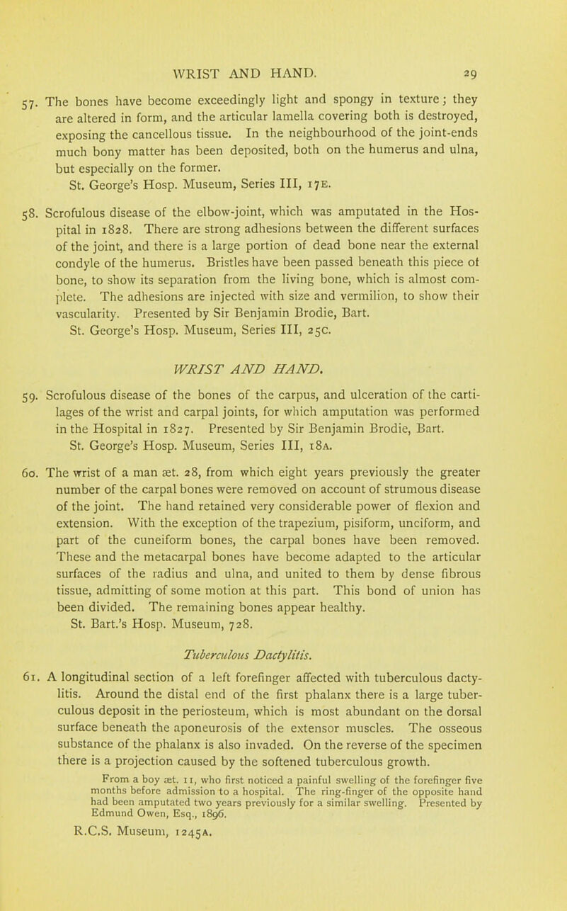 57. The bones have become exceedingly light and spongy in texture; they are altered in form, and the articular lamella covering both is destroyed, exposing the cancellous tissue. In the neighbourhood of the joint-ends much bony matter has been deposited, both on the humerus and ulna, but especially on the former. St. George’s Hosp. Museum, Series III, 17E. 58. Scrofulous disease of the elbow-joint, which was amputated in the Hos- pital in 1828. There are strong adhesions between the different surfaces of the joint, and there is a large portion of dead bone near the external condyle of the humerus. Bristles have been passed beneath this piece ot bone, to show its separation from the living bone, which is almost com- plete. The adhesions are injected with size and vermilion, to show their vascularity. Presented by Sir Benjamin Brodie, Bart. St. George’s Hosp. Museum, Series III, 25c. WRIST AND HAND. 59. Scrofulous disease of the bones of the carpus, and ulceration of the carti- lages of the wrist and carpal joints, for which amputation was performed in the Hospital in 1827. Presented by Sir Benjamin Brodie, Bart. St. George’s Hosp. Museum, Series III, i8a. 60. The wrist of a man ret. 28, from which eight years previously the greater number of the carpal bones were removed on account of strumous disease of the joint. The hand retained very considerable power of flexion and extension. With the exception of the trapezium, pisiform, unciform, and part of the cuneiform bones, the carpal bones have been removed. These and the metacarpal bones have become adapted to the articular surfaces of the radius and ulna, and united to them by dense fibrous tissue, admitting of some motion at this part. This bond of union has been divided. The remaining bones appear healthy. St. Bart.’s Hosp. Museum, 728. Tuberculous Dactylitis. 61. A longitudinal section of a left forefinger affected with tuberculous dacty- litis. Around the distal end of the first phalanx there is a large tuber- culous deposit in the periosteum, which is most abundant on the dorsal surface beneath the aponeurosis of the extensor muscles. The osseous substance of the phalanx is also invaded. On the reverse of the specimen there is a projection caused by the softened tuberculous growth. From a boy ast. 11, who first noticed a painful swelling of the forefinger five months before admission to a hospital. The ring-finger of the opposite hand had been amputated two years previously for a similar swelling. Presented by Edmund Owen, Esq., 1896. R.C.S. Museum, 1245A.