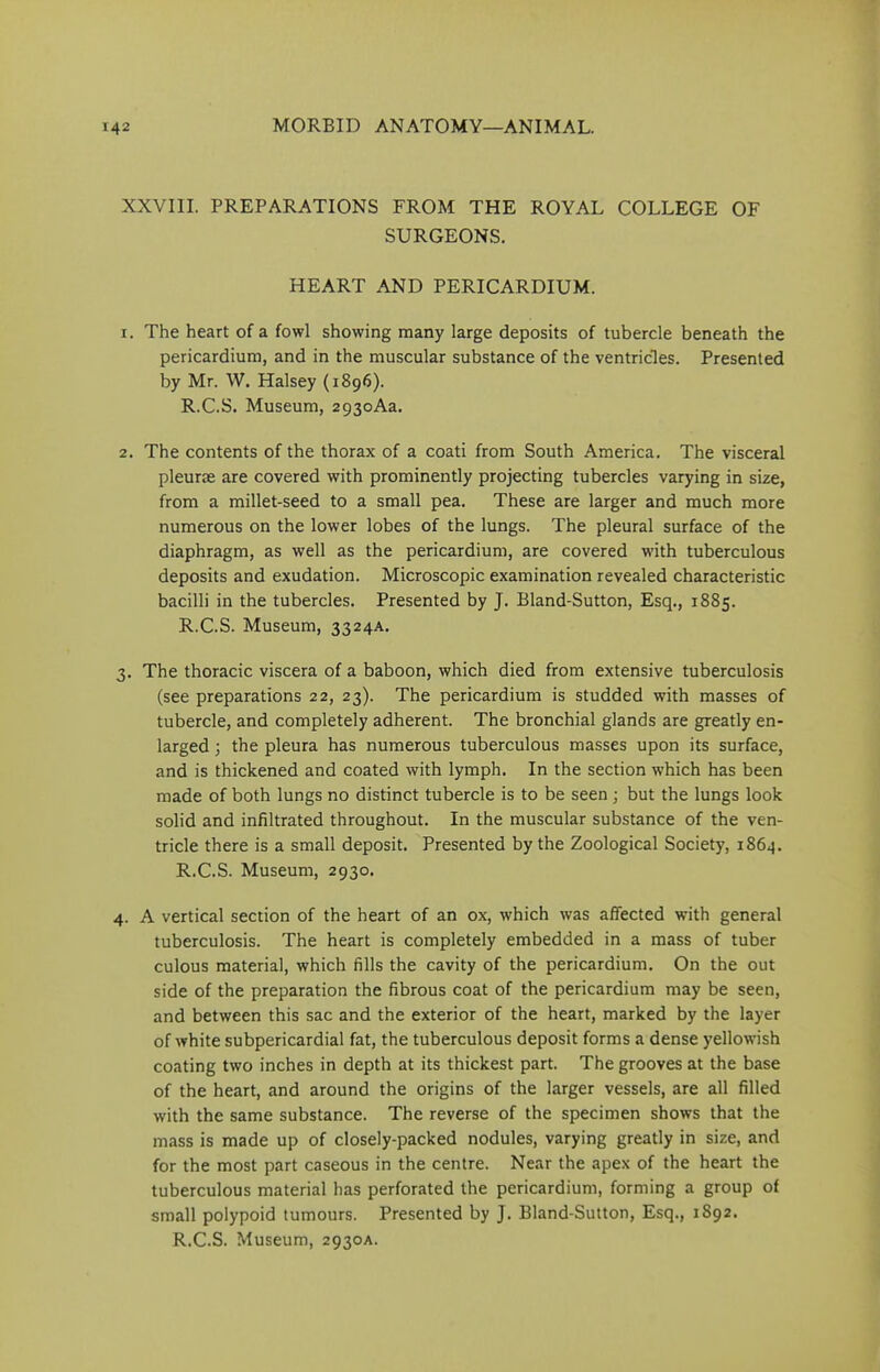 XXVIII. PREPARATIONS FROM THE ROYAL COLLEGE OF SURGEONS. HEART AND PERICARDIUM. 1. The heart of a fowl showing many large deposits of tubercle beneath the pericardium, and in the muscular substance of the ventricles. Presented by Mr. W. Halsey (1896). R.C.S. Museum, 293oAa. 2. The contents of the thorax of a coati from South America. The visceral pleurae are covered with prominently projecting tubercles varying in size, from a millet-seed to a small pea. These are larger and much more numerous on the lower lobes of the lungs. The pleural surface of the diaphragm, as well as the pericardium, are covered with tuberculous deposits and exudation. Microscopic examination revealed characteristic bacilli in the tubercles. Presented by J. Bland-Sutton, Esq., 1885. R.C.S. Museum, 3324A. 3. The thoracic viscera of a baboon, which died from extensive tuberculosis (see preparations 22, 23). The pericardium is studded with masses of tubercle, and completely adherent. The bronchial glands are greatly en- larged ; the pleura has numerous tuberculous masses upon its surface, and is thickened and coated with lymph. In the section which has been made of both lungs no distinct tubercle is to be seen ; but the lungs look solid and infiltrated throughout. In the muscular substance of the ven- tricle there is a small deposit. Presented by the Zoological Society, 1864. R.C.S. Museum, 2930. 4. A vertical section of the heart of an ox, which was affected whth general tuberculosis. The heart is completely embedded in a mass of tuber culous material, which fills the cavity of the pericardium. On the out side of the preparation the fibrous coat of the pericardium may be seen, and between this sac and the exterior of the heart, marked by the layer of white subpericardial fat, the tuberculous deposit forms a dense yellowish coating two inches in depth at its thickest part. The grooves at the base of the heart, and around the origins of the larger vessels, are all filled with the same substance. The reverse of the specimen shows that the mass is made up of closely-packed nodules, varying greatly in size, and for the most part caseous in the centre. Near the apex of the heart the tuberculous material has perforated the pericardium, forming a group of small polypoid tumours. Presented by J. Bland-Sutton, Esq., 1892. R.C.S. Museum, 2930A.