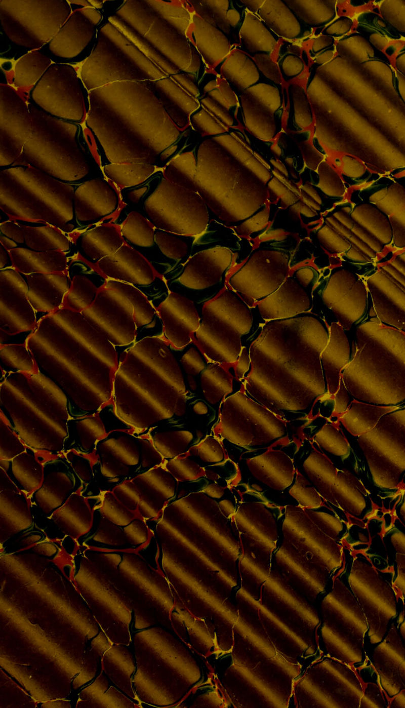 No text description is available for this image