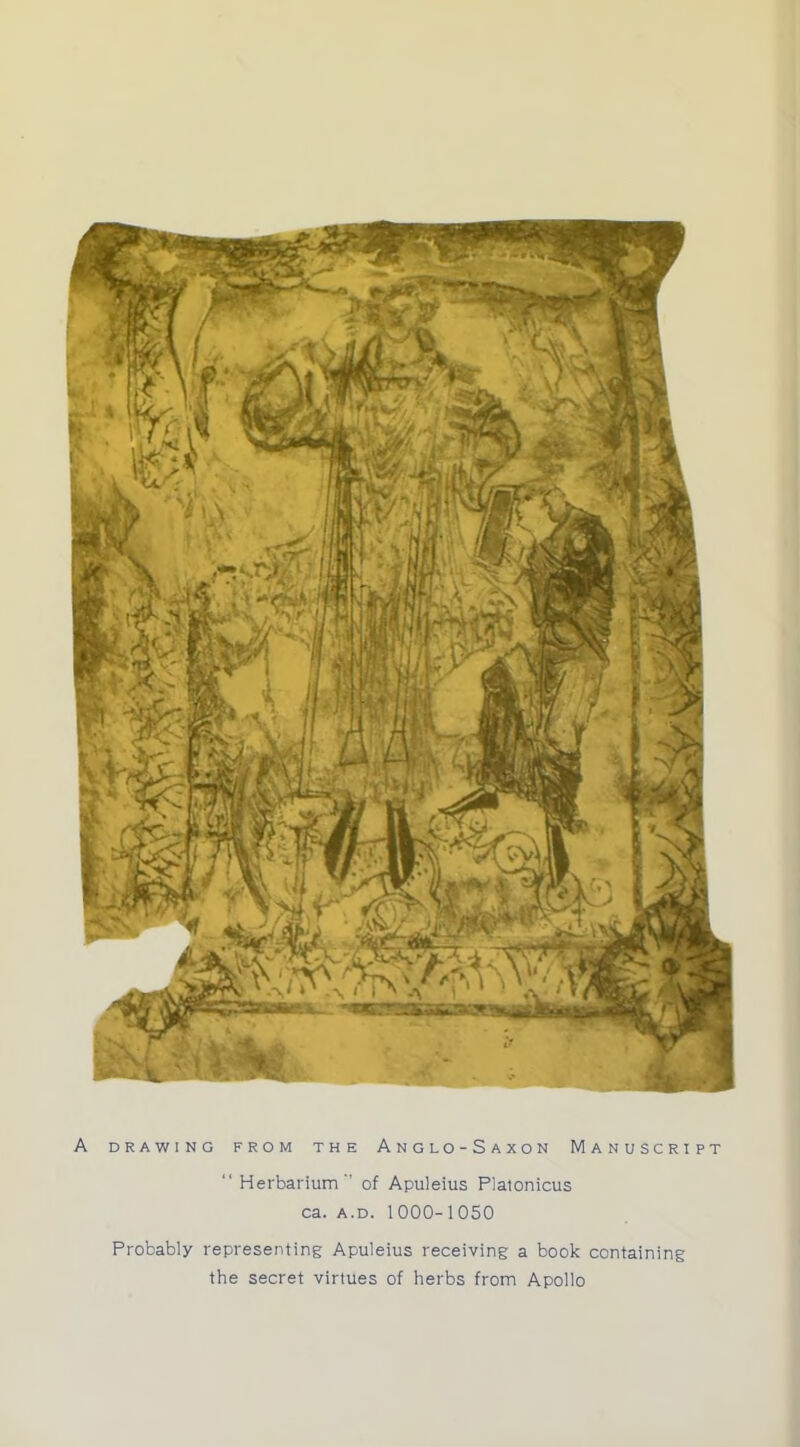 A DRAWING FROM THE ANGLO-SAXON MANUSCRIPT  Herbarium of Apuleius Platonicus ca. a.d. 1000-1050 Probably representing Apuleius receiving a book containing the secret virtues of herbs from Apollo