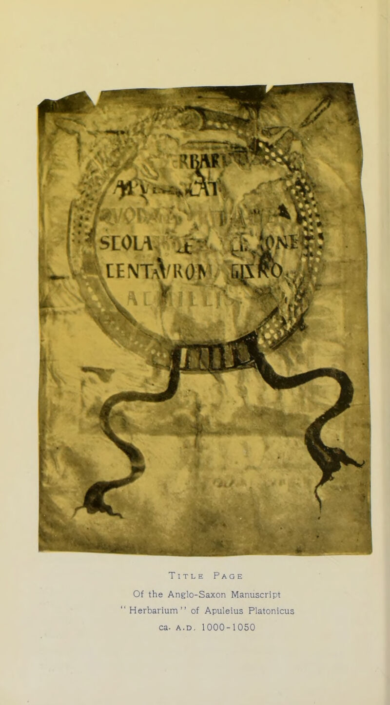 Title Page Of the Anglo-Saxon Manuscript  Herbarium of Apuleius Platonicus