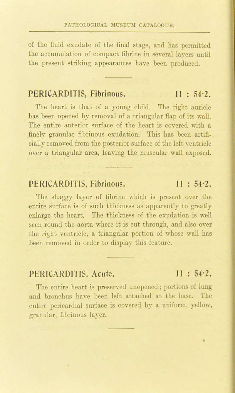 of the fluid exudate of the final stage, and has permitted the accumulation of compact fibrine in several layers until the present striking appearances have been produced. PERICARDITIS, Fibrinous. II : 54-2. The heart is that of a young child. The right auricle has been opened by removal of a triangular flap of its wall. The entire anterior surface of the heart is covered with a finely granidar fibrinous exudation. This has been artifi- cially removed from the posterior surface of the left ventricle over a triangular area, leaving the muscular wall exposed. PERICARDITIS, Fibrinous. 11 : 54-2. The shaggy layer of fibrine which is present over the entire surface is of such thickness as apparently to greatly enlarge the heart. The thickness of the exudation is well seen round the aorta where it is cut through, and also over the right ventricle, a triangular portion of whose wall has been removed in order to display this feature. PERICARDITIS, Acute. 11:54-2. The entire heart is preserved unopened ; portions of lung and bronchus have been left attached at the base. The entire pericardial surface is covered by a uniform, yellow, granular, fibrinous layer.