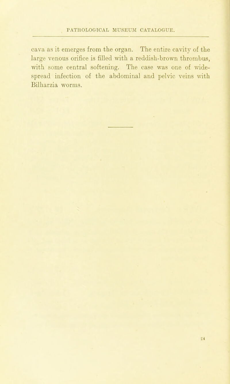 cava as it emerges from the organ. The entire ca\aty of the large venous orifice is filled with a reddish-brown thrombus, with some central softening. The case was one of wide- spread infection of the abdominal and pehac veins with Bilharzia worms.