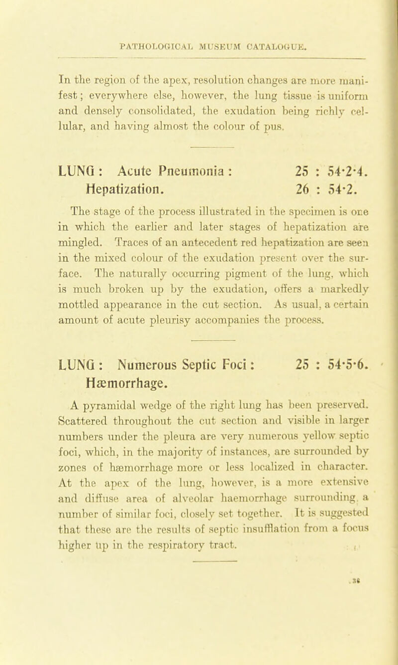 In the region of the apex, resohition changes are more mani- fest ; everywhere else, however, the lung tissue is unifonii and densely consolidated, the exudation being richly cel- lular, and having almost the colour of pus. LUNG : Acute Pneumonia : 25 : 54'2-4. Hepatization. 26 : 54-2. The stage of the process illustrated in the specimen is one in which the earlier and later stages of hepatization are mingled. Traces of an antecedent red hepatization are seen in the mixed colour of the exudation present over the sur- face. The naturally occurring pigment of the lung, which is much broken up by the exudation, offers a markedly mottled appearance in the cut section. As usual, a certain amount of acute pleurisy accompanies the process. LUNG : Numerous Septic Foci: 25 : 54'5-6. Hiemorrhage. A pyramidal wedge of the right lung has been preserved. Scattered throughout the cut section and visible in larger numbers imder the pleura are very numerous yellow septic foci, which, in the majority of instances, are surrounded by zones of hsemorrhage more or less localized in character. At the apox of the lung, however, is a more extensive and diffuse area of alveolar haemorrhage surrounding, a number of similar foci, closely set together. It is suggested that these are the results of septic insufflation from a focus higher Uj) in the respiratory tract. i .at