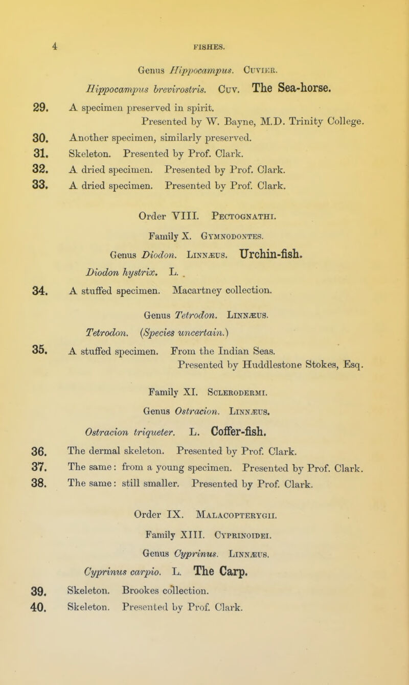 Genus Hippocampus. Cuviku. Hippocampus hrevirostris. Cuv. The Sea-horsC. 29. A specimen preserved in spiiit. Presented by W. Bayne, M.D. Trinity College. 30. Another specimen, similarly j^reserved. 31. Skeleton. Presented by Prof. Clark. 32. A dried specimen. Presented by Prof. Clark. 33. A dried specimen. Presented by Pi*of Clark. Order VIII. Pectognathi. Family X. Gymnodoxtes. Genus Diodon. Linnaeus. Urchin-fish. Diodon hystrix. L. 34. A stuffed specimen. Macartney collection. Genus Tetrodon. Linnaeus. Tetrodon. {Species uncertain.) 35. A stuffed specimen. From the Indian Seas. Presented by Huddlestone Stokes, Esq. Family XI. Sclerodermi. Genus Ostracion. Linn^us. Ostracion triqueter. L. CofFer-fish. 36. The dermal skeleton. Presented by Prof Clark. 37. The same: from a young specimen. Presented by Prof. Clark. 38. The same: still smaller. Presented by Prof Clark. Order IX. Malacopterygii. Family XIII. Cyprinoidei. Genus GypHnus. Linnaeus. Cyprinus carpio. L. The Carp. 39. Skeleton. Brookes collection.