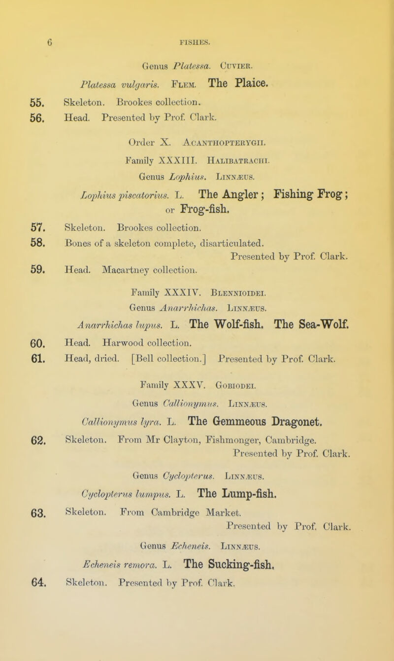 Genus Platessa. Cuvieb. Platessa vulgaris. Flem. The Plaice. 65. Skeleton. Brookes collection. 56. Head. Presented by Prof. Clark. Order X. Acanthopteeygii. Family XXXIII. Halibatraciii. Genus Lophim. Lijtn^us. LopUus jnscatorius. L. The Angler; Fishing Frog; or Frog-fish. 57. Skeleton. Brookes collection. 58. Bones of a skeleton complete, disarticulated. Presented by Prof Clark. 59. Head. Macartney collection. Family XXXIV. Blennioidei. Genus Anarrhichas. Linnaeus. Anarrhichas hqms. L. The Wolf-fish. The Sea-Wolf. 60. Head. Harwood collection. 61. Head, dried. [Bell collection.] Presented by Prof Clark. Family XXXV. Gobiodbi. Genus Callionymusi. Linn^eui?. (Jallionymus lyra. L. The Gommeous Dragonet. 62. Skeleton. From Mr Clayton, Fishmonger, Cambridge. Presented by Prof Clark. Genus Cycloptrrus. Linn.eus. Ci/clopterivs lumpns. L. The Lump-fish. 63. Skeleton. Fi-om Cambridge Market. Pi-esented by Prof Clark. Genus Echeneis. Linn^us. Echeneis reniora. L. The Sucldng-fish,