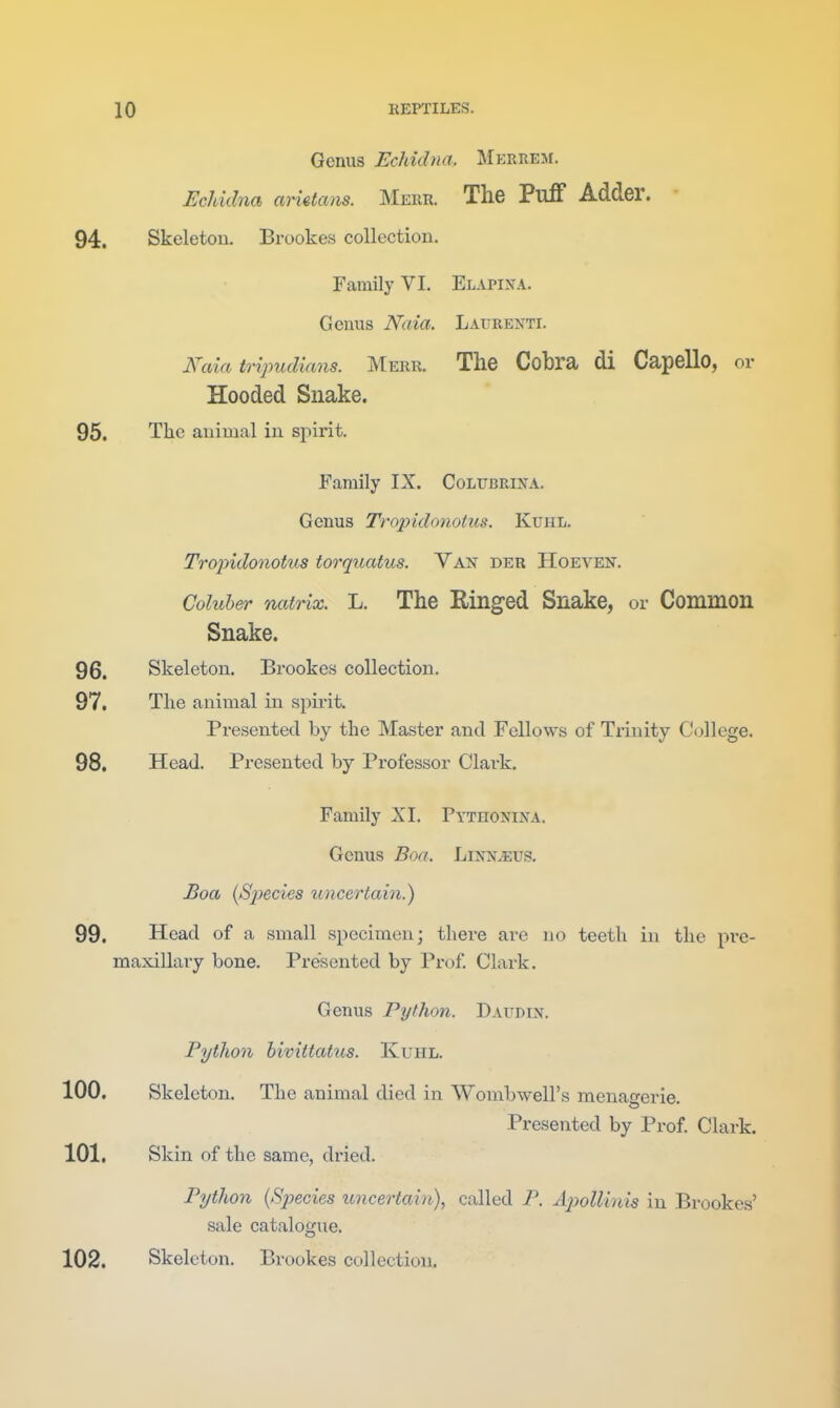 Genus Echidna, Mkrrem. Echidna arietcms. Merr. The Puif Adder. 94. Skeleton. Brookes collection. Family VI. Elapixa. Genus Naia. Laurenti. Kaia triimdians. Merr. The Cobra di Capello, or Hooded Snake. 95. The animal in sf»irit. Family IX. Colubrixa. Genus Tropidonotus. Kuhl. Trojndonotus torquatus. Yas der Hoeven. Coluber ncttrix. L. The Ringed Snake, or Common Snake. 96. Skeleton. Brookes collection. 97. The animal in spii'it. Presented by the Master and Fellows of Trinity College. 98. Head. Presented by Professor Clark. Family XI. Pythonina. Genus Boa, Linn^us. Eoa (Species uncertain.) 99. Head of a small specimen; there are no teeth in the pi-e- maxillary bone. Presented by Prof. Clark. Genus Python. Daudin. Python bivittatiis. Kuhl. 100. Skeleton. The animal died in Wombwell's menagerie. Presented by Prof. Clark. 101. Skin of the same, dried. Python (Species uncertain), called P. A2)oUin{s in Brookes' sale catalogue. 102. Skeleton. Brookes collection.