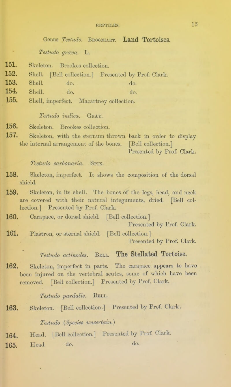 Genus Testudo. Brogniart. Land TortoisGS. Testudo grct'ca. L. 151. Skeleton. Brookes collection. 152. Shell. [Bell collection.] Presented by Prof. Clark. 153. Shell. do. do. 154. Shell. do. do. 155. Shell, imperfect. Macai-tney collection. Testudo indica. Gray. 156. Skeleton. Bi'ookes collection. 157. Skeleton, with the sterniim thrown back in order to display the internal arrangement of the bones. [Bell collection.] Presented by Prof Clark. Testudo carhonaria. Spix. 158. Skeleton, imperfect. It shows the composition of the dorsal shield. 159. Skeleton, in its shell. The bones of the legs, head, and neck are covered with their natural integuments, dried. [Bell col- lection.] Presented by Prof Clark. 160. Carapace, or dorsal shield. [Bell collection.] Presented by Prof Clark. 161. Plastron, or sternal shield. [Bell collection.] Presented by Prof Clark. Testudo adinodes. Bell. The Stellated Tortoise. 162. Skeleton, imperfect in parts. The carapace appears to have been injured on the vertebral scutes, some of which have been removed. [Bell collection.] Presented by Prof Clark. Testudo ^;(M'c?«^i5. Bell. 163. Skeleton. [Bell collection.] Presented by Prof Clark. Testudo {Species uncertain.) 164. Head. [Bell collection.] Presented by Prof Clark. 165. Head. do. do.