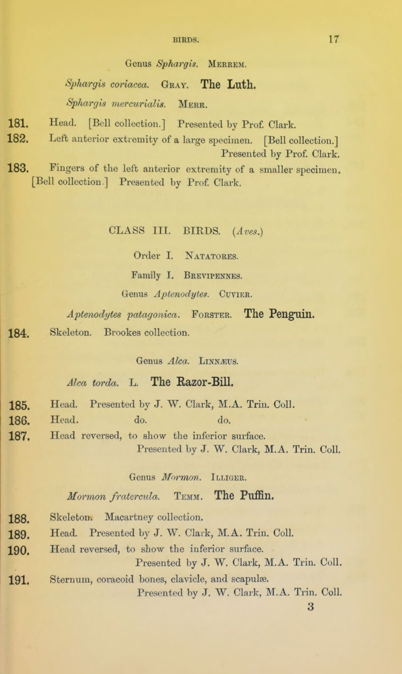 Genus Sphargis. Merrem. Sp/iargis conacea. Gray, The Luth. Sphargis mercurialis. Merr. 181. Head. [Bell collection.] Presented by Prof. Clark. 182. Left anterior extremity of a large specimen. [Bell collection.] Presented by Prof Clark. 183. Fingers of the left antei-ior extremity of a smaller specimen. [Bell collection.] Presented by Prof Clark. CLASS III. BIRDS. {Aves.) Order I. Natatores. Family I. Brevipennes. Genvis AjJtenodytes. Cuvier. Aptenodytes patagonica. Forster. The Peng^uin. 184. Skeleton. Brookes collection. Genus Alca. LiNNiEus. Alca torda. L. The Razor-Bill, 185. Head. Presented by J. W. Clark, M.A. Trim Coll. 186. Head. do. do. 187t Head reversed, to show the inferior surface. Presented by J. W. Clark, M.A. Trin. Coll, Genus Mormon. Illioer. Mormon fratercida. Temm. The Puffin. 188. Skeleton-. Macartney collection. 189. Head. Presented by J. W. Claik, M.A. Trin. Coll. 190. Head reversed, to show the inferior surface. Presented by J. W. Clark, M.A. Trin. Coll. 191. Sternum, coracoid bones, clavicle, and scapulje. Presented by J. W. Clark, M.A. Trin. Coll. 3