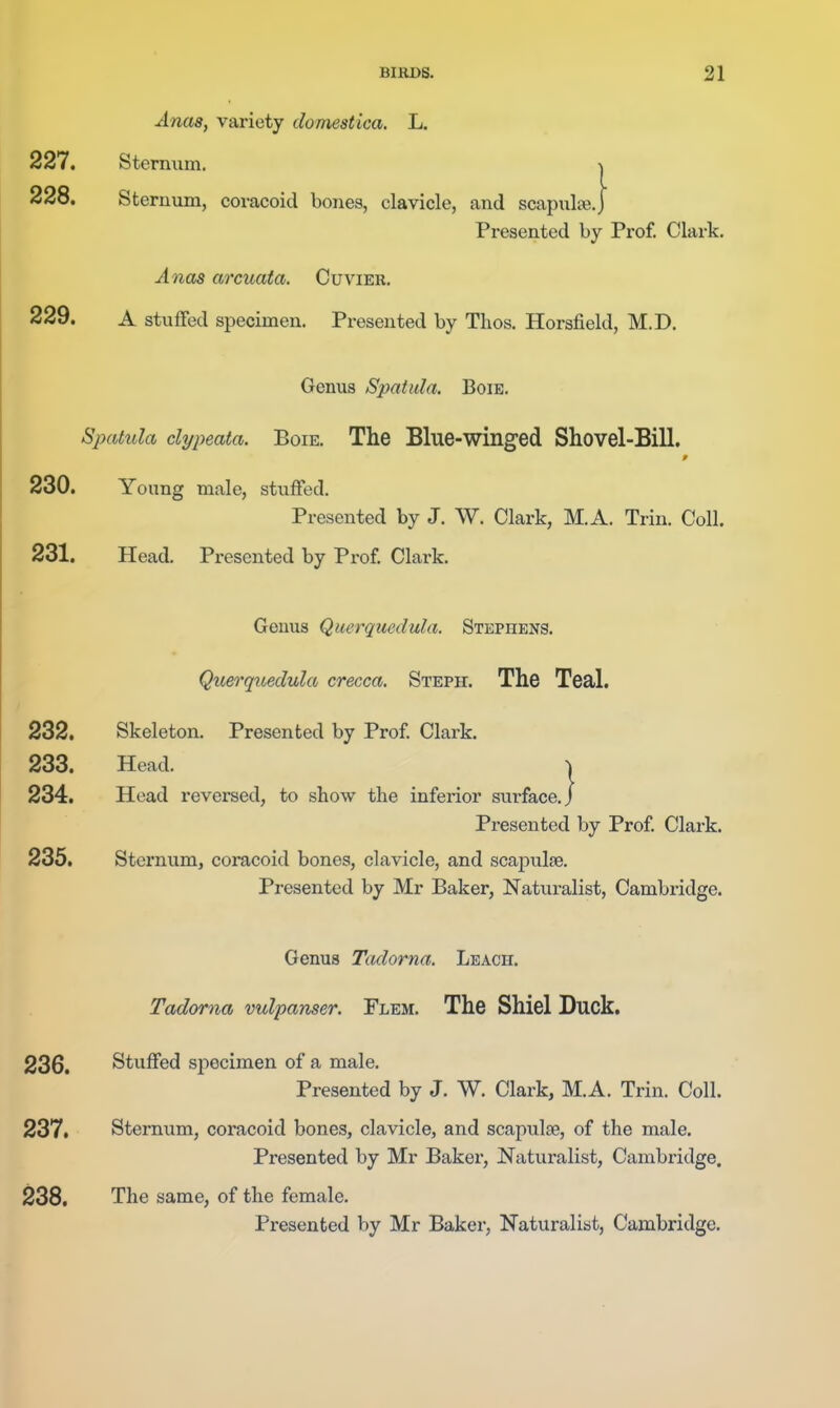 Anas, variety domestica. L. 227. Stermim. \ 228. Sternum, coracoid bones, clavicle, and scapnlte.j Presented by Prof. Clark. Anas arcuata. Cuvier. 229. A stuffed specimen. Presented by Thos. Horsfield, M.D. Genus Spatula. Boie. Spatula clypeata. Boie. The Blue-winged Shovel-Bill. 230. Young male, stuffed. Presented by J. W. Clark, M.A. Trin. Coll. 231. Head. Presented by Prof. Clark. Genus Querquedula. Stephens. Querquedula crecca. Steph. The Teal. 232. Skeleton. Presented by Prof Clark. 233. Head. I 234. Head reversed, to show the inferior surface,/ Presented by Prof Clark. 235. Sternum, coracoid bones, clavicle, and scapulae. Presented by Mr Baker, Naturalist, Cambridge. Genus Tadorna. Leach. Tadorna vulpanser. Flem. The Shiel Duck. 236. Stuffed specimen of a male. Presented by J. W. Clark, M.A. Trin. Coll. 237. Sternum, coi'acoid bones, clavicle, and scapulae, of the male. Presented by Mr Baker, Naturalist, Cambridge. 238. The same, of the female. Presented by Mr Baker, Naturalist, Cambridge.