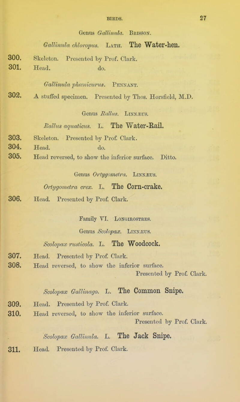 Genus Gallinula. Biiissox. Gallinula chloropus. Lath. The Water-hen. 300. Skeleton. Presented by Trof. Clark. 301. Head. do. Gallinula phmnicurus. Pennant. 302. A stuffed specimen. Presented by Thos. Horsficld, M.D. Genus Rallus. Linnaeus. Rallus aquaticus. L. The Water-Rail. 303. Skeleton. Presented by Px'of. Clark. 304. Head. do. 305. Head reversed, to show the inferior surface. Ditto. Genus Ortygometra. LiNNiEUS. Ortygomdra crex. L, The Corn-crake. 306. Head. Presented by Prof. Clai'k. Family YI. Longiuostres. Genus Scolopax. Linnaeus. Scolopax rusticola. L. The WoodcOCk. 307. Head. Presented by Prof. Clark. 308. Head reversed, to show the inferior surface. Presented by Prof. Clai'k. Scolopax GalUnago. L. The Common Snipe. 309. Head. Presented by Prof. Clark. 310. Head reversed, to show the inferior surface. Presented by Prof. Clark. Scolopax Gallinula. L. The Jack Snipe. 311. Head. Presented by Prof. Clark.