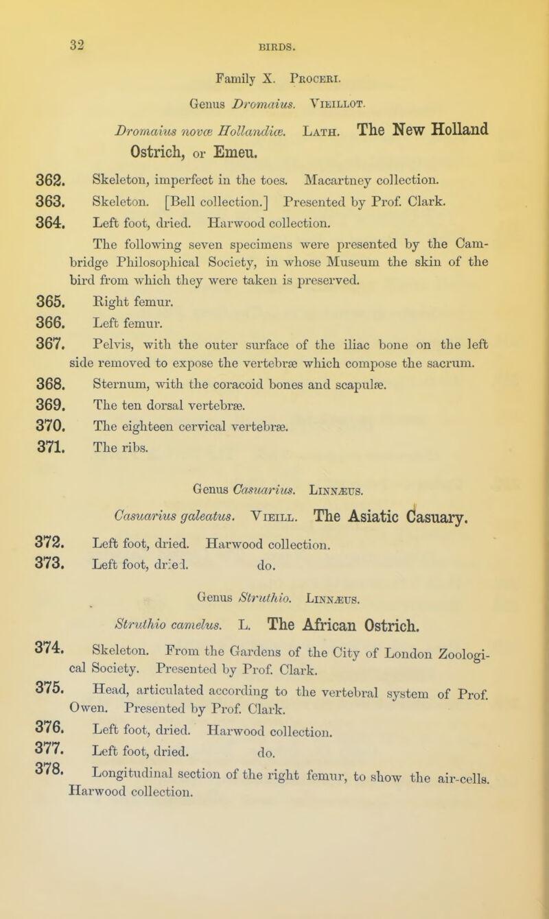 Family X. Peoceri. Genus Dromaius. Vieillot. Dromaius novce Hollandice. Lath. The New Holland Ostrich, or Emeu. 362. Skeleton, imperfect in the toes. Macartney collection. 363. Skeleton. [Bell collection.] Presented by Prof. Clark. 364. Left foot, dried. Harwood collection. The following seven specimens were presented by the Cam- bridge Philosophical Society, in whose Museum the skin of the bird from which they were taken is preserved. 365. Right femur. 366. Left femur. 367. Pelvis, with the outer surface of the iliac bone on the left side removed to expose the vertebrae which compose the sacrum. 368. Sternum, with the coracoid bones and scapulfe. 369. The ten dorsal vertebrae. 370. The eighteen cervical vertebi-se. 371. The ribs. Genus Casuarim. LiNNiEirs. Casuarius galeatus. Vieill. The Asiatic Casuaiy. 372. Left foot, diied. Harwood collection. 373. Left foot, driel do. Genus Struthio. Linnaeus. Struthio camelus. L. The African Ostrich. 374. Skeleton. From the Gardens of the City of London Zoologi- cal Society. Presented by Prof Clark. 375. Head, articulated according to the vertebral system of Prof Owen. Presented by Prof Clark. 376. Left foot, dried. Harwood collection. 377. Left foot, dried. do. 378. Longitudinal section of the right femur, to show the air-cells. Harwood collection.