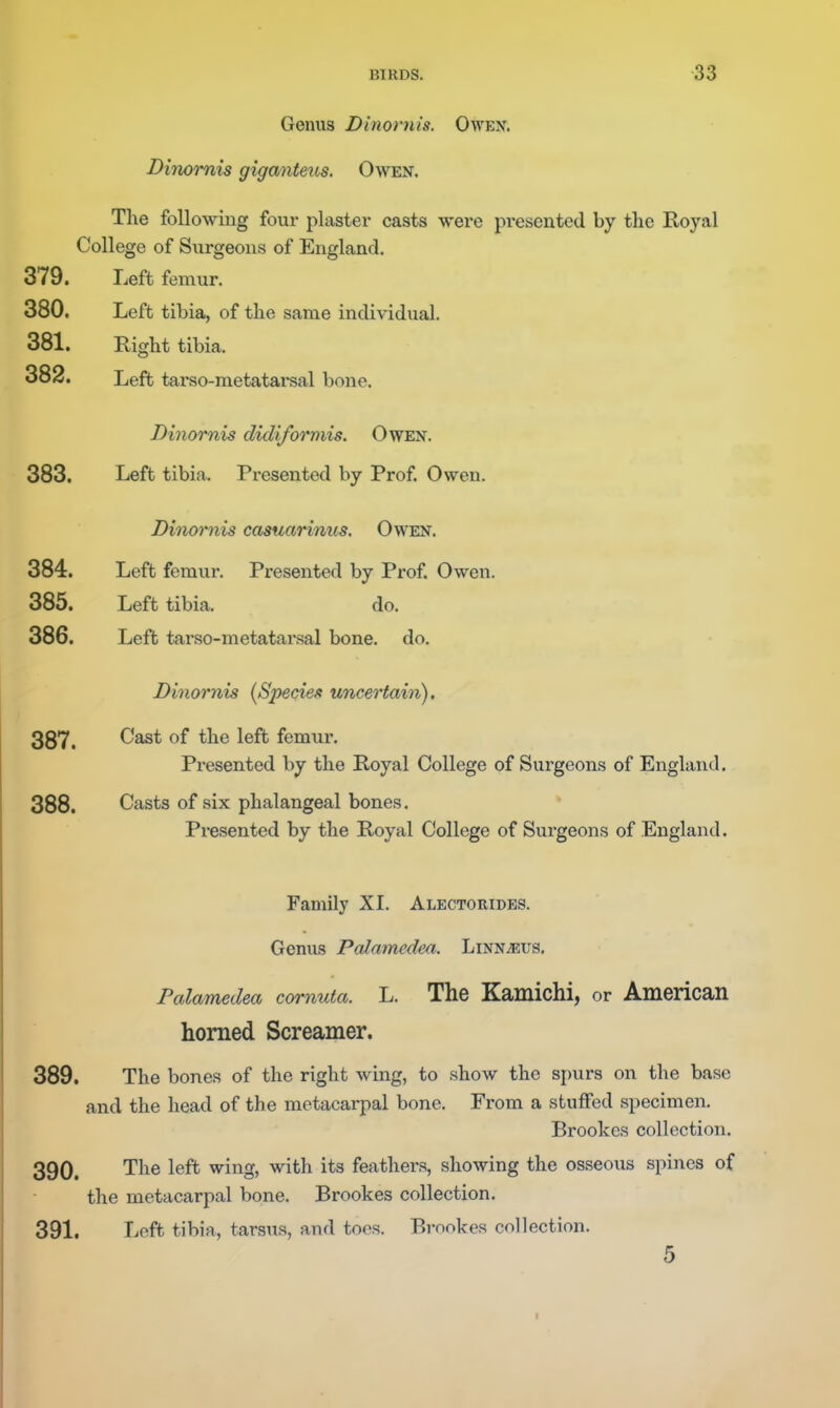 Genus Dinornis. Owen. Dinomis giganteus. Owen. The following four plastei* casts were presented by the Royal College of Surgeons of England. 379. Left femur. 380. Left tibia, of the same individual. 381. Right tibia. 382. Left tarso-metatai-sal bone. Dinornis didiformis. Owen. 383. Left tibia. Presented by Prof. Owen. Dinomis casuarinus, Owen. 384. Left femur. Presented by Prof. Owen. 385. Left tibia. do. 386. Left tarso-metatarsal bone. do. Dinornis {Species uncertain). 387. Cast of the left femur. Presented by the Royal College of Surgeons of England. 388. Casts of six phalangeal bones. Presented by the Royal College of Surgeons of England. Family XI. Alectorides. Genus Palamedea. Linnaeus. Pcdamedea cornuta. L. The Kamichi, or American homed Screamer. 389. The bones of the right wing, to show the spurs on the base and the head of the metacai-pal bone. From a stuffed specimen. Brookes collection. 390. The left wing, with its feathers, showing the osseous spines of the metacarpal bone. Brookes collection. 391. Left tibia, tarsus, and toes. Brookes collection. 5