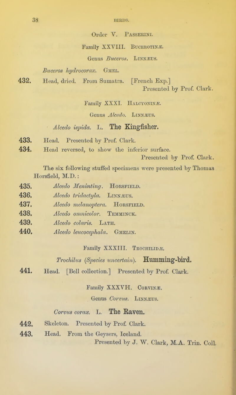 Order V. Passerini. Family XXVIIL Bucekotinje. Genus Buceros. Linnaeus. Buceros hydrocorax. Gmel. 432, Head, dried. From Sumatra. [French Exp.] Presented by Prof. Clark. Family XXXI. HALcroNiNiE. Genus Alcedo. Linn.eus. Alcedo isjnda. L. The Kingfisher. 433, Head. Presented by Prof. Clark. 434, Head reversed, to show the inferior surface. Presented by Prof. Clark. The six following stuffed specimens were presented by Thomas Horsfield, M.D.: 435, Alcedo Meninting. Horsfield. 436, Alcedo tridactyla. LiNN^us. 437, Alcedo melano2)tera. Horsfield. 438, Alcedo oninicolor. Temminck. 439, Alcedo colaris. Lath, 440, Alcedo leucocephala. Gmelin. Family XXXIII. Trochilid^. Trochilus {Species imcertain). Hummillg-bird, 441, Head. [Bell collection.] Presented by Prof. Clark. Family XXXVIi, Corvinve. Genus Corvus. Linnaeus. C'orvus corax. L. The Raven. 442, Skeleton. Presented by Prof. Clark. 443, Head, From the Geysers, Iceland. Presented by J. W. Clark, M.A. Trin. Coll.