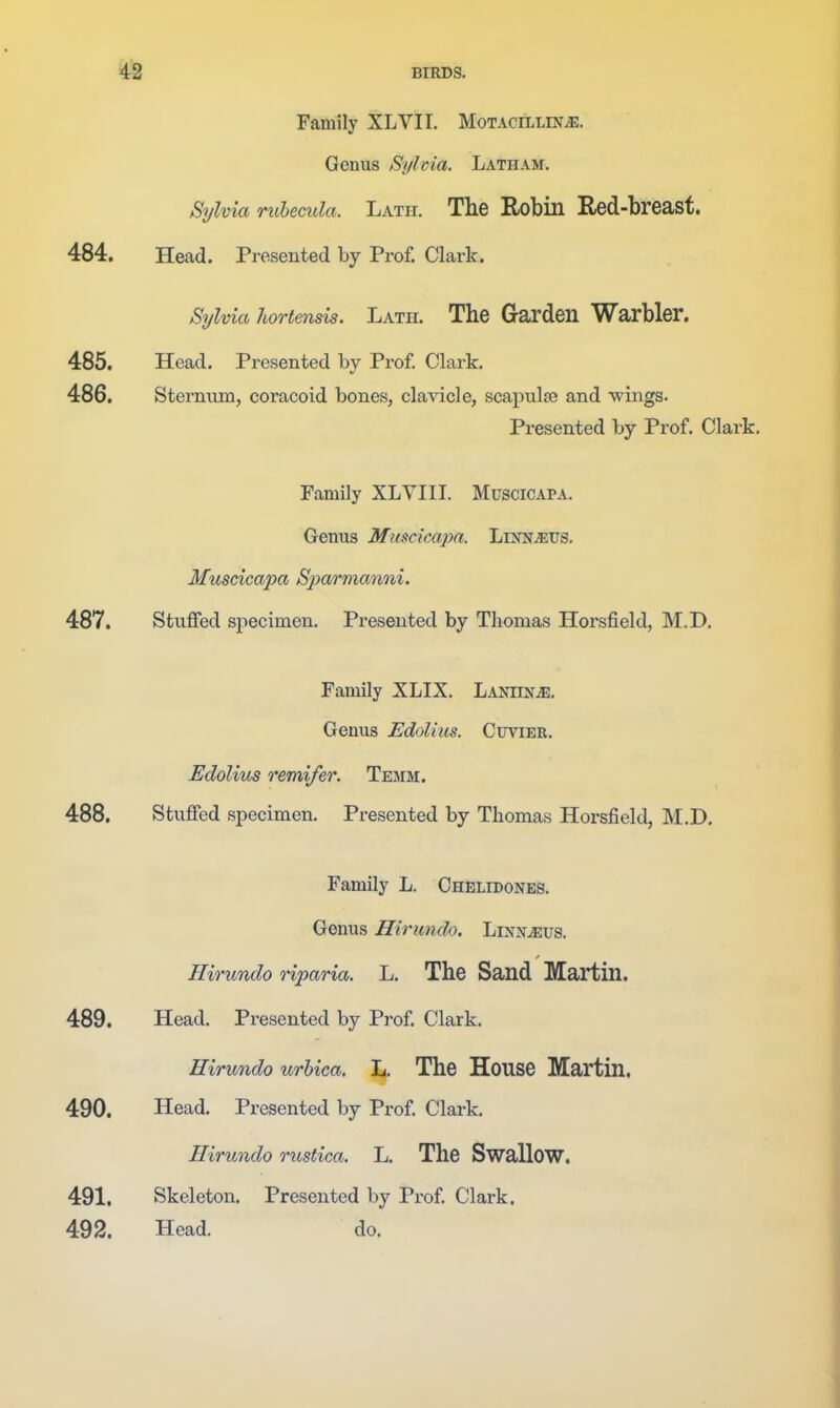 Family XLVII. MoTACiLLiNiE. Genus Sylma. Latham. Sylvia ruhecula. Lath. The Robin Red-breast. 484. Head. Presented by Prof. Clark. Sylvia hortensis. Lath. The Garden Warbler. 485. Head. Presented by Prof. Clark. 486. Sternum, coracoid bones, clavicle, scapulse and wings. Presented by Prof. Clark. Family XLYIII. Muscicapa. Genus Muscicapa. LiNN-Sius. Muscicapa Sparmanni. 487. Stuffed specimen. Presented by Thomas Horsfield, M.D. Family XLIX. Lamina. Genus EdoUus. Cuvier. Edolius remifer. Temm. 488. Stuffed specimen. Presented by Thomas Horsfield, M.D. Family L. Chelidones. Genus Hirumlo. Linn^us. Hirundo riparia. L. The Sand Martin. 489. Head. Presented by Prof. Clark. Hirundo urhica. L. The House Martin. 490. Head. Presented by Prof Clark. Hirundo rustica. L. The Swallow. 491. Skeleton. Presented by Prof Clark. 492. Head. do.