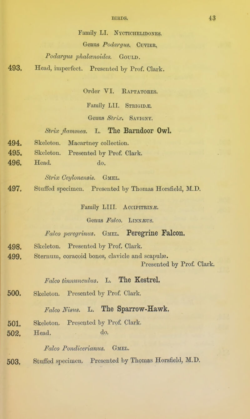 Family LI. Nyctichelidones. Genus Podargus. Cuvier, Podargus 2>^i'Ccicenoides. Gould. 493. Head, imperfect. Presented by Prof. Clark. Order VI. Raptatores. Family LII. Strigid,e. Geuus Striu: Savigny. Strix Jlammea. L. The Bamdoor Owl, 494. Skeleton. Macartney collection. 495. Skeleton. Presented by Prof. Clark. 496. Head. do. Strix Ceylonensis. Gmel. 497. Stuffed specimen. Presented by Thomas Horsfield, M.D. Family LIII. Accipitrin^. Genus Falco. Linn^us. Fcdco 2)eregrmus. Gmel. Peregrine Falcon. 498. Skeleton. Presented by Prof. Clark. 499. Sternum, coracoid bones, clavicle and scapulae. Presented by Prof. Clark. Falco iinnunmkis. L, The Kestrel, 600. Skeleton. Presented by Prof Clark. Falco JVisns. L. The Sparrow-Hawk. 501. Skeleton. Presented by Prof Clark. 502. Head. do. Falco Pondicerianus. Gmel. 503. Stuffed sjwcimen. Presented by Thomas Horsfield, M.D.