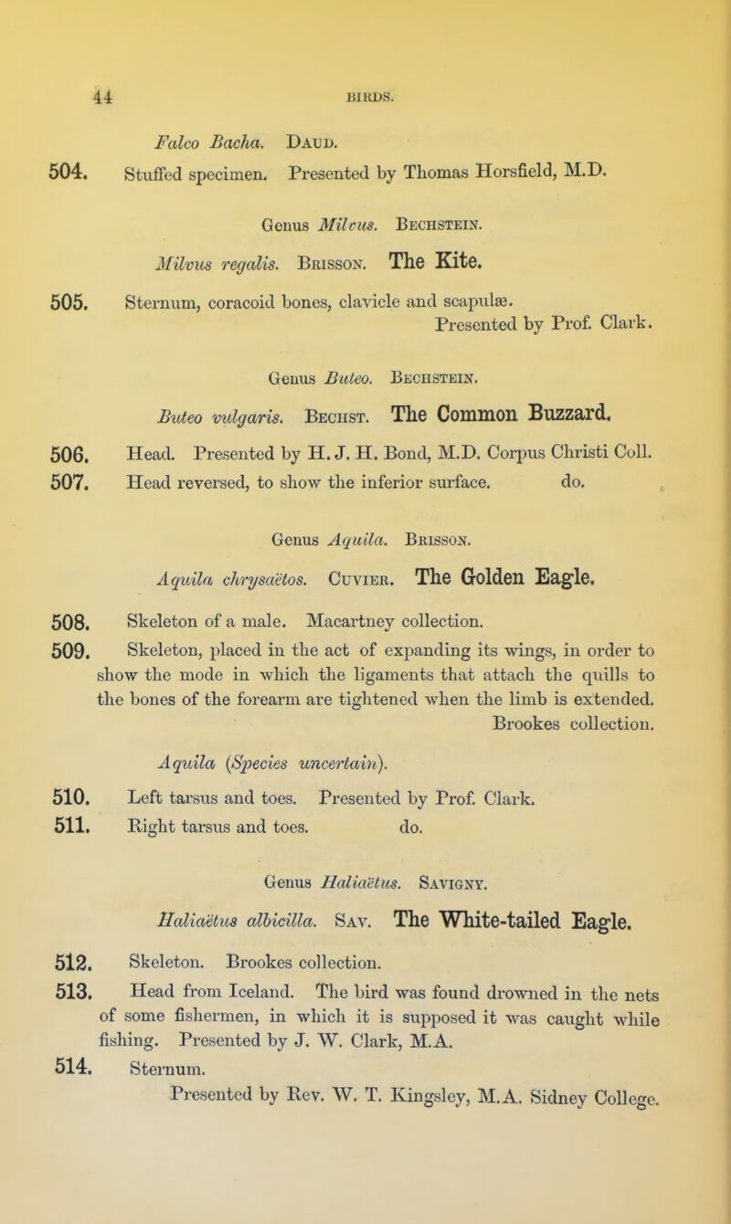 Falco Bacha. Daud. 504. Stuffed specimen. Presented by Thomas Horsfield, M.D. Genus Milcus. Bechstein, MUvm regcdis. Brisson. The Kite. 505. Sternum, coracoid bones, clavicle and scapulae. Presented by Prof. Clark. Genus BiUeo. Bechstein. Buteo vulgaris. Bechst. The Common Buzzard. 506. Head. Presented by H. J. H. Bond, M.D. Corpus Christi Coll. 507. Head I'eversed, to show the inferior surface. do. Geniis Aqiiila. Brisson. Aquila chrysaetos. Cuvier. The Golden Eagle. 508. Skeleton of a male. Macartney collection. 509. Skeleton, placed in the act of expanding its wings, in order to show the mode in which the ligaments that attach the quills to the bones of the foreai'm are tightened when the limb is extended. Brookes collection. Aquila {Species uncertain). 510. Left tarsus and toes. Presented by Prof Clark. 511. Right tarsus and toes. do. Genus HaliaMm. Savigny. Halia'etua alhicilla. Sav. The White-tailed Eagle. 512. Skeleton. Brookes collection. 513. Head from Iceland. The bird was found drowned in the nets of some fishermen, in which it is supposed it was caught while fishing. Presented by J. W. Clark, M.A. 514. Sternum. Presented by Rev. W. T. Kingsley, M.A. Sidney College.