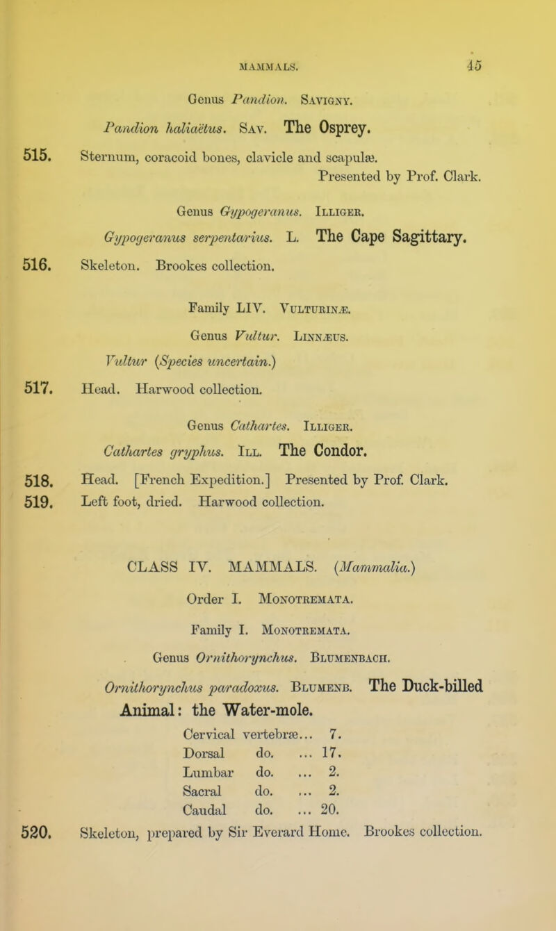 Genus Pandion. Saviqny. Paiulion haliaetus. Sav. The Osprey. 515. Sternum, coracoid bones, clavicle and scajiulaj. Presented by Prof. Clark. Genus Gypogemniis. Illiger. Gypogeranm serjyentarius. L. The Cape Sagittary. 516. Skeleton. Brookes collection. Family LIV. Vulturin^e. Genus Vultur. Linnaeus. Vtdtur {Sjiecies uncertain.) 517. Head. Harwood collection. Genus Cathartes. Illiger, CatJiartes gryphus. III. The Condor. 518. Head. [French Expedition.] Presented by Prof. Clark. 519. Left foot, dried. Harwood collection. CLASS IV. MAMMALS. (Mammalia.) Order I. Monotremata. Family I. Monotremata. Genus Ornithorynchm. Blumenbacil Ornithorynchus 2'>aracloxus. Blumenb. The Duck-billed Animal: the Water-mole. Cervical vertebrte... 7. Doi-sal do. ... 17. Lumbar do. ... 2. Sacral do. ... 2. Caudal do. ... 20. 520, Skeleton, prepared by Sir Everard Home. Brookes collection.