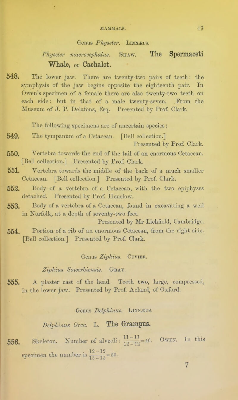 Genus Physcter. Linn^us. rhyseter mac)'oce2)halu$. Shaw. The Spermaceti Whale, or Cachalot. 548. The lower jaw. There arc twenty-two pairs of teeth: the symphysis of the jaw begins opposite the eighteenth pair. In Owen's specimen of a female there ai'e also twenty-two teeth on each side: but in that of a male twenty-seven. From the Museum of J. P. Delafons, Esq. Presented by Prof Clark. The following specimens are of uncertain species: 549. The tympanum of a Cetacean. [Bell collection.] Presented by Prof. Clark. 550. Vertebra towards the end of the tail of an enoi'mous Cetacean. [Bell collection.] Presented by Prof. Clark. 551. Vertebra towards the middle of the back of a much smaller Cetacean. [Bell collection.] Presented by Prof. Clark. 552. Body of a vertebra of a Cetacean, with the two eplj)hyses detached. Presented by Prof. Henslow. 553. Body of a vertebra of a Cetacean, found in excavating a well in Norfolk, at a dei:)th of seventy-two feet. Presented by Mr Lichfield, Cambridge. 554. Portion of a rib of an enormous Cetacean, from the right side. [Bell collection.] Presented by Prof Clark. Genus Ziphius. Cuvier. Ziphius Sovjerbiensis. Gray. 655. A plaster cast of the head. Teeth two, large, compressed, in the lower jaw. Presented by Prof A eland, of Oxford. Genus DeJphinus. Linn,^;us. DeliMnus Orca. L. The Grampus. 556. Skeleton. Number of alveoli: = 46. Owen. Intliis 12-12 lo_]2 specimen the number is .^^ _ ^..^- 50.