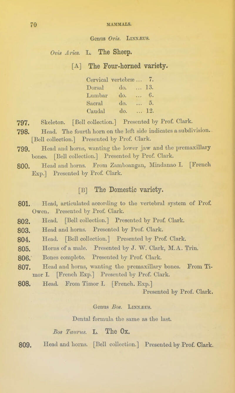 Genus Oris. LixNiEUS. Ovis Aries. L. The Sheep. [A] The Four-horned variety. Cervical Dorsal Lumbar Sacral Caudal vertebr£e... 7. do. ... 13. do. ... 6. do. ... 5. do. ... 12. 797. Skeleton. [Bell collection.] Presented by Prof. Clark. 798. Head. The fourtli horn on the left side indicates a subdivision. [Bell collection.] Presented by Prof. Clark. 799. Head and horns, wanting the lower jaw and the premaxillary bones. [Bell collection.] Presented by Prof Clark. 800. Head and horns. From Zamboangan, Mindanao I. [French Exp.] Pi-esented by Prof Clark. 801. Head, articulated according to the vertebral system of Prof. Owen. Presented by Prof Clark. 802. Head. [Bell collection.] Presented by Prof Clark. 803. Head and horns. Presented by Prof Clark. 804. Head. [Bell collection.] Presented by Prof Clark. 805. Horns of a male. Presented by J. W. Clark, M.A. Triu. 806. Bones complete. Presented by Prof Clark. 807. Head and horns, wanting the premaxillary bones. From Ti- mor I. [French Exp.] Presented by Prof. Clark. 808. Head. From Timor I. [French. Exp.] [B] The Domestic variety. Presented by Prof. Clark. Genus Bos. hmiuMVS. Dental formula the same as the last. Bos Taurus. L. The Ox. 809. Head and horns. [Bell collection.] Presented by Prof Clark.