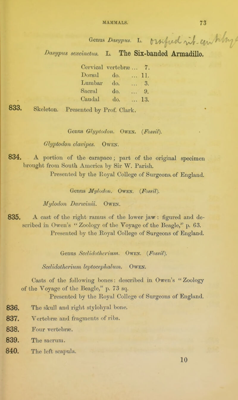 Genm Das!/pus. L. (rV^ML^,(^ Dasijpus sexcinctiis. L. The Six-banded Armadillo. Cervical vertebrae .. . 7. Dorsal do. . 11. Lumbar do. . 3. Sacral do. . 9. Caudal do. . 13. Skeleton. Presented by Prof. Clark. Genus Glyptodon. Owen. (Fossil). Glyptodon clanipes. Owen. 834. A portion of the carapace; part of the original specimen brought from South America by Sir W. Parish. Presented by the Royal College of Surgeons, of England. Genus Mylodon. Owen. (Fossil). Mylodon Darvnnii. Owen. 835. A cast of the right ramus of the lower jaw : figured and de- scribed in Owen's  Zoology of the Voyage of the Beagle, p. 63. Presented by the Royal College of Surgeons of England. Genus Scelidotherium. Owen. (Fossil). Scelidotherium leqitocephalum. Owen. Casts of the following bones: desci'ibed in Owen's  Zoology of the Voyage of the Beagle, p. 73 sq. Presented by the Royal College of Surgeons of England. 836. The skull and right stylohyal bone. 837. Vertebrfe and fragments of ribs. 838. Four vertebrae. 839. The sacrum. 840. The left scapula. 10