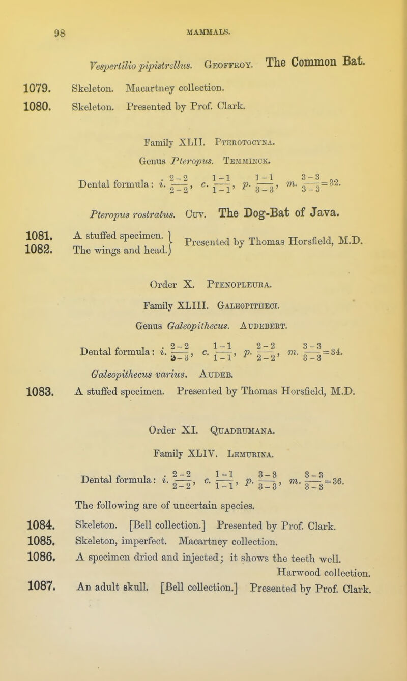 Vespertilio pipistrellus. Geoffeoy. The Common Bat. 1079. Skeleton. Macartney collection. 1080. Skeleton. Presented by Prof. Clark. Family XLII. Pterotocyna. Genus Pteropm. Temaiinck. Dental formula: i. c. j-^^, p. ^3^, rii. 32. Pteropus rostratm. Cuv. Tke Dog-Bat of Java. 1081. A stuffed specimen. ) Thomas Horsfield, M.D. lUo<^. The wings and head.) Order X. Ptenopleura. Family XLIII. Galeopitheci. Genua Galeopithecus. Audebeet. -n i. 1 f 1 -2-2 1-1 2-2 3-3 Dental formula: %. —, c. —, p. — , m. ^==34. Galeopiiliecus varius. Audeb. 1083. A stuffed specimen. Presented by Thomas Horsfield, M.D. Order XI. Quadeumana. Family XLIV. Lemueina. -P, . 1 r 1 -2-2 1-1 3-3 3-3 Dental formula: ^- c. JP- m. 37-3 = 36. The following are of uncertain species. 1084. Skeleton. [Bell collection.] Presented by Prof. Clark. 1085. Skeleton, imperfect. Macartney collection. 1086. A specimen dried and injected; it shows the teeth well. Harwood collection.