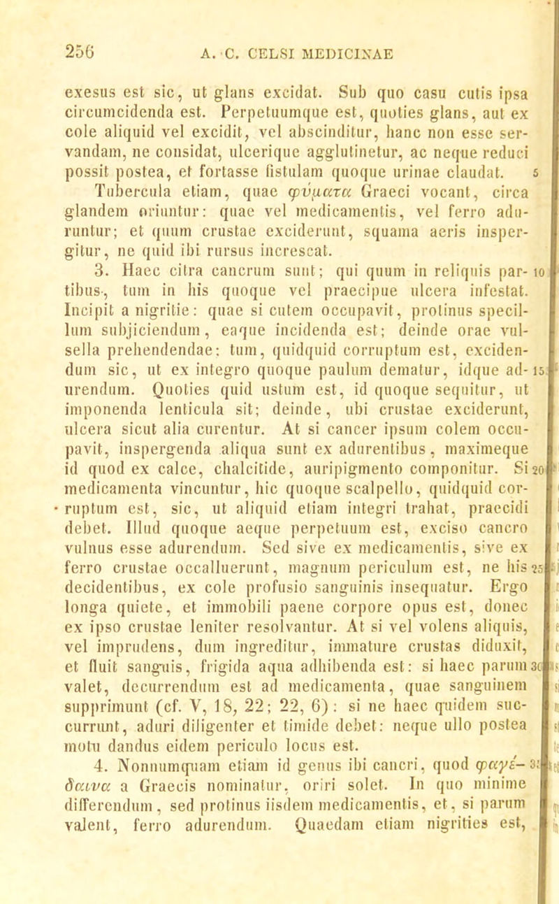 exesus est sic, ut glans excidat. Sub quo casu cutis ipsa circuincidenda est. Perpetuumque est, quolies glans, aut ex cole aliquid vel excidit, vel abscinditur, hanc non esse ser- vandam, ne cousidat, ulcerique agglutinetur, ac neque reduci possit postea, et fortasse fistulam quoque urinae claudat. 5 Tiibercula etiam, quae cpv^arcc Graeci vocant, circa glandem oriuntur: quae vel medicamenlis, vel ferro adii- runtur; et quum crustae cxciderunt, squama aeris insper- gitur, ne quid ibi rursus increscat. 3. Haec cilra cancrum sunt; qui quum in reliqnis par-lo tibus-, tum in liis qnoque vcl praecipue ulcera infestat. Incipit a nigrilie: quae si cutem occupavit, protinus specil- lum sul)jiciendum, eaque incidenda est; deinde orae vul- sella prehendendae: lum, quidquid corruptum est, exciden- dum sic, ut ex inlegro quoque paulum dematur, idque ad-isj urendum. Quoties quid ustum est, id quoque seqiiitur, ut imponenda lenticula sit; deinde, ubi cruslae exciderunt, ulcera sicut alia cureutur. At si cancer ipsum colem occu- pavit, inspergenda aliqua sunt ex adurenlibus, maximeque id quod ex calce, chalcitide, auripigmento componifur. Sizoj medicamenta vincuntur, hic quoque scalpelio, quidquid cor- ruplum est, sic, ut aliquid etiam integri trahat, praecidi debet, Illud quoque aeque perpetuum est, exciso cancro vulnus esse adurendum. Sed sive ex medicamentis, sive ex ferro crustae occalluerunt, magnum periculum est, ne his^sl decidentibus, ex cole profusio sanguinis insequatur. Ergo longa quiete, et immobili paene corpore opus est, donec ex ipso crustae leniter resolvantur. At si vel volens aliqnis, vel imprudens, dum ingreditur, innnature crustas didiixif, et fluit sanguis, frigida aqua adhibenda est: si haec parunuG valet, decurrendiim est ad medicamenta, quae sanguinem supprimunt (cf. V, 18, 22; 22, 6): si ne haec quidem suc- currunt, aduri diiigenfer et timide debet: neque ullo posfea motu dandus eidem periculo locus est. 4. Nonnumqiiam etiain id genus ibi cancri, quod q:)ays-^ Saiva a Graecis nominafur, oriri solet. lu quo minime dilferendum, sed protinus iisdem medicanicntis, et, si parum valent, ferro adurendum. Quaedam etiam nigrities est,