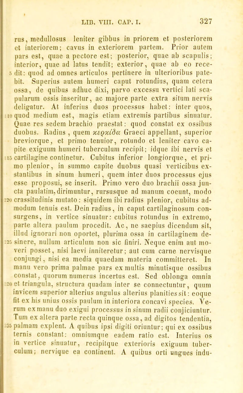 I LIB. VIII. CAP. I. 327 rus, mediillosus lenlter gibbus in prioretn et posleriorem et interiorem; cavus in exteriorem partem. Prior auteni pars est, quae a pectore est; posterior, quae ab scapulis; interior, quae ad latus tendit; exterior, quae ab eo rece- o dit: quod ad omnes articulos pertinere in ulterioribus pate- bit. Superius autem humeri caput rotundius, quam cetera ossa, de quibus adhuc dixi, parvo excessu vertici lati sca- pularum ossis inseritur, ac majore parte extra situm nervis deligatur. At inferius duos processus liabet: inter quos, loquod medium est, magis etiam extremis partibus sinuatur. Quae res sedem brachio praestat: quod constat ex ossibus duobus. Radius , quem xEQXida Graeci appellant, superior breviorque, et primo tenuior, rotundo et leniter cavo ca- pite exiguum humeri tuberculum recipit; idque ibi nervis et 15 cartilagine continetur. Cubitus inferior longiorque, et pri- mo plenior, in summo capite duobus quasi verticibus ex- stantibus in sinum humeri, quem inter duos processus ejus esse proposui, se inserit. Primo vero duo brachii ossa jun- cta paulatim,dirimuntur, rursusque ad manum coeunt, modo ;3« crassitudinis mutato : siquidem ibi radius plenior, cubitus ad- raodum tenuis est. Dein radius, in caput cartilaginosum con- surgens, in vertice sinuatur: cubitus rotundus in extrenio, parte altera paulum procedit. Ac, ne saepius dicendum sit, illud ignorari non oportet, plurima ossa in cartilaginem de- 25 sinere, nullum articuhim non sic finiri. Neque enim aut mo- veri posset, nisi laevi inniteretur; aut cum carne nervisque conjungi, nisi ea media quaedam materia coinmitteret. In manu vero prima palmae pars ex multis minutisque ossibus constat, quorum numerus incertus est. Sed oblonga omnia 30 et triangula, structura quadam inter se connectuntur, quum invicem superior alterius angulus alterius planitiessit: eoque fit ex his unius ossis paulum in interiora concavi species. Ve- rum exmanu duo exigui processus insinum radii conjiciunlur. Tum ex altera parte recla quinque ossa, ad digitos tendentia, sspalmam explent. A quibus ipsi digiti oriunlur; qui ex ossibus ternis constant: omniumqiie eadem ratio est. Interius os in vertice sinualur, recipitque exterioris exiguum tuber- culum; nervique ea conlinent. A quibus orti ungues indu-