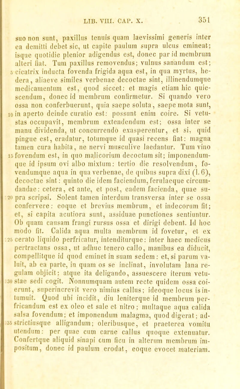 suo non sunt, paxilliis tenuls quani laevissimi generis inter ea deuiitti debet sic, ut capite pauluin supra ulcus emineat; isque qiiotidie plenior adigendus est, donec par id membrum alteri liat. Tum paxillus removendus; vulnus sanandum est; 5 cicatrix inducta fovenda frigida aqua est, in qua myrtus, he- dera, aliaeve similes verbenae decoctae sint, illinendumque medicamentum est, quod siccet: et magis etiam liic quie- scendum, donec id membruni conllrmetur. Si quando vero ossa non conferhuerunt, quia saepe soluta, saepemota sunt, 10 in aperto deinde curatio est: possunt enim coire. Si vetu- stas occupavit, membrum extendendum est; ossa inter se manu dividenda, ut concurreudo exasperentur, et si, quid pingue est, eradatur, totiimque id quasi recens fiat: magna tamen cura habila, ne nervi musculive laedantur. Tum vino lofovendum est, in quo ma.licorium decoctumsit; imponendum- que id ipsum ovi albo mixtum: tertio die resolvendum, fo- vendumque aqua in qua verbenae, de quibus supra dixi (1.6), decoctae sint: quinto die idem faciendum, ferulaeque circum- dandae: cetera, et ante, et post, eadem facienda, quae su- 2(1 pra scripsi. Solent tamen interdum transversa inter se ossa confervere: eoque et brevius membrum, et indecoriim fit; et, si capita acntiora sunt, assiduae punctiones sentiuntur. Ob quam causam frangi rursus ossa et dirigi debent. Id hoc modo fit. Calida aqua multa membrum id fovetur, et ex .25 cerato liqnido perfricatur, intenditiirque: inter haec medicus pertractans ossa, ut adhuc tenero callo, manibus ea diducit, compellitque id quod eminet in suam sedem: et, si parum va- luit, ab ea parte, in quam os se inclinat, involutam lana re- gulam objicit; atque ita deligando, assuescere iterum vetu- 30 stae sedi cogit. Nonnumquam autem recte quidem ossa coi- erunt, superincrevit vero nimius callus; ideoque locus isin- tumuit. Quod ubi incidit, diu leniterque id membrum per- fricandum est ex oleo et sale et nitro; multaque aqua calida salsa fovendum; et imponendum malagma, quoddigerat; ad- 35 strictiusque alligandum; oleribusque, et praeterea vomitu iitendiim: per quae cum carne callus quoque extenuatur. Confertqiie aliquid sinapi cum ficu in alterum membrum im- positum, donec id paulum erodat, eoque evocet jnateriam.