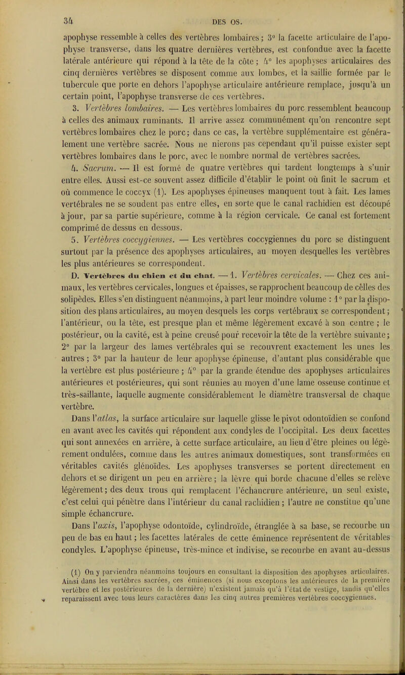 apophyse ressemble à celles des verlèbres lombaires ; 3 la facelle arliculaire de l'apo- physe traasverse, dans les quatre dernières verlèbres, est confondue avec la facette latérale antérieure qui répond à la tête de la côte ; ^° les apophyses articulaires des cinq dernières vertèbres se disposent comme aux lombes, et la saillie formée par le tubercule que porte en dehors l'apophyse articulaire antérieure remplace, jusqu'à un certain point, l'apophyse transverse de ces vertèbres. 3. Vertèbres lombaires. — Les vertèbres lombaires du porc ressemblent beaucoup à celles des animaux ruminants. Il arrive assez communément qu'on rencontre sept vertèbres lombaires chez le porc ; dans ce cas, la vertèbre supplémentaire est généra- lement une vertèbre sacrée. Nous ne nierons pas cependant qu'il puisse exister sept vertèbres lombaires dans le porc, avec le nombre normal de vertèbres sacrées. k. Sacrum. — 11 est formé de quatre vertèbres qui tardent longtemps à s'unir entre elles. Aussi est-ce souvent assez difficile d'établir le point où finit le sacrum et où conmience le coccyx (1). Les apophyses épineuses manquent tout à fait. Les lames vertébrales ne se soudent pas entre elles, en sorte que le canal rachidien est découpé à jour, par sa partie supérieure, comme à la région cervicale. Ce canal est fortement comprimé de dessus en dessous. 5. Vertèbres coccygiennes. — Les vertèbres coccygiennes du porc se distinguent surtout par la présence des apophyses articulaires, au moyen desquelles les verlèbres les plus antérieures se correspondeni. D. Vertèbres du eiiien et du chat. — 1. Vertèbres cetmcales. — chez ces ani- maux, les vertèbres cervicales, longues et épaisses, se rapprochent beaucoup de celles des solipèdes. Elles s'en distinguent néanmoins, à part leur moindre volume : 1° par la dispo- sition des plans articulaires, au moyen desquels les corps vertébraux se correspondent ; l'antérieur, ou la lèle, est presque plan et môme légèrement excavé à son centre ; le postérieur, ou la cavité, est à peine creusé pour recevoir la tête de la vertèbre suivante; 2° par la largeur des lames vertébrales qui se recouvrent exactement les unes les autres ; 3 par la hauteur de leur apophyse épineuse, d'autant plus considérable que la vertèbre est plus postérieure ; ti par la grande étendue des apophyses articulaires antérieures et postérieures, qui sont réunies au moyen d'une lame osseuse continue et très-saillante, laquelle augmente considérablement le diamètre transversal de chaque vertèbre. Dans Y atlas, la surface articulaire sur laquelle glisse le pivot odontoïdien se confond en avant avec les cavités qui répondent aux condyles de l'occipilal. Les deux facettes qui sont annexées en arrière, à cette surface articulaire, au lieu d'êlre pleines ou légè- rement ondulées, comme dans les autres animaux domestiques, sont transformées en véritables caviiés glénoïdes. Les apophyses transverses se portent directement en dehors et se dirigent un peu en arrière ; la lèvre qui borde chacune d'elles se relève légèrement ; des deux trous qui remplacent l'échancrure antérieure, un seul existe, c'est celui qui pénètre dans l'intérieur du canal rachidien ; l'autre ne conslilne qu'une simple échancrure. Dans Yaxis, l'apophyse odontoïde, cylindroïde, étranglée à sa base, se recourbe un peu de bas en haut ; les facettes latérales de cette éminence représentent de véritables condyles. L'apophyse épineuse, très-mince et indivise, se recourbe en avant au-dessus (1) On y parviendra néanmoins toujours en consultant la disposition des apophyses articulaires. Ainsi dans les vertèbres sacrées, ces émiiiences (si nous exceptons les antérieures de la première vertèbre el les postérieures de la dernière) n'existent jamais qu'à l'élalde vestige, tandis iiu'elles reparaissent avec tous leurs caractères dans les cinq autres premières vertèbres coccygiennes.