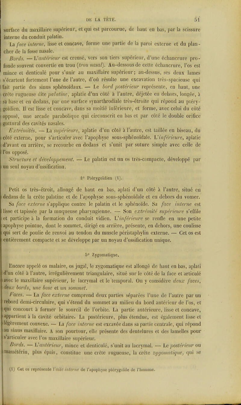 surface du maxillaire supérieur, et qui est parcourue, de haut en bas, par la scissure interne du conduit palatin. La face interne, lisse et concave, forme une partie de la paroi externe et du plan- cher de la fosse nasale. Bords. —Vantérieur est creusé, vers son tiers supérieur, d'une échancrure pro- fonde souvent convertie en trou {trou nasal). Au-dessous de cette échancrure, l'os est mince et denticulé pour s'unir au maxillaire supérieur ; au-dessus, ses deux lames «'écartent fortement l'une de l'autre, d'où résulte une excavation très-spacieuse qui fait partie des sinus sphénoïdaux. — Le bord postérieur représente, eu haut, une trêtc rugueuse dite palatine, aplatie d'un côté à l'autre, déjetée en dehors, longée, à sa hase et en dedans, par une surface synarlhrodiale très-étroite qui ré))ond au piéry- goïdicn. Il est lisse et concave, dans sa moitié inférieure, et forme, avec celui du côté opposé, une arcade parabolique qui circonscrit en bas et par côlé le double oriûce guttural des cavités nasales. Extrémités, — La supérieure, aplatie d'un côté à l'autre, est taillée en biseau, du côté externe, pour s'articuler avec l'apophyse sous-sphénoïdale. ^inférieure, aplatie d'avant en arrière, se recourbe en dedans et s'unit par suture simple avec celle de l'os opposé. Structure et développement. — Le palatin est un os très-compacte, développé par un seul noyau d'ossification. li° Piérygoïdien (1). Petit os très-étroit, allongé de haut en bas, aplati d'un côté à l'autre, situé en dedans de la crête palatine et de l'apophyse sous-sphénoïdale et en dehors du vomer. Sa face externe s'applique contre le palatin et le sphénoïde. Sa face interne est lisse et tapissée par la muqueuse pharyngienne. — Son extrémité supérieure s'effile et participe à la formation du conduit vidien. Vinférieure se renfle en une petite apophyse pointue, dont le sommet, dirigé en arrière, présente, en dehors, une coulisse qui sert de poulie de renvoi au tendon du muscle péristaphylin externe. — Cet os est entièrement compacte et se développe par un noyau d'ossification unique. 5° Zygomatique. Encore appelé os malaire, os jugal, le zygomatique est allongé de haut en bas, aplati d'un côté à l'autre, irrégulièrement triangulaire, situé sur le côté de la face et articulé lavec le maxillaire supérieur, le lacrymal et le temporal. On y considère deux faces, deux bords, une base et un sommet. Faces. — La face externe comprend deux parties séparées l'une de l'autre par un rebord demi-circulaire, qui s'étend du sommet au milieu du bord antérieur de l'os, et qui concourt à former le sourcil de l'orbite. La partie antérieure, lisse et concave, appartient à la cavité orbilaire. La postérieure, plus étendue, est également lisse et 'légèrement convexe. — La face interne est excavée dans sa |)arlie centrale, qui répond au sinus maxillaire. A son pourtour, elle présente des dentelures et des lamelles pour s'articuler avec l'os maxillaire supérieur. fjords. — L'antérieur, mince et denticulé, s'unit au lacrymal. — Le postérieur ou itnassétérin, plus épais, constitue une crête rugueuse, la crête zygomatique, qui se (1) Cet os représente Vailc interne de l'apopliysc plcryguïde de l'iioiiiiue.