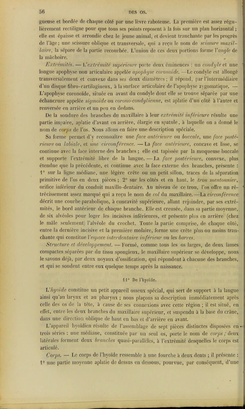 gueuse et bordée de chaque côté par une lèvre raboteuse. La première est assez régu- lièrement recliligne pour que tous ses points reposent à la fois sur un plan horizontal ; elle est épaisse et arrondie chez le jeune animal, et devient tranchante par les progrès de l'âge; une scissure oblique et transversale, (pii a reçu le nom de scissure maxil- laire, la sépare de la partie recourbée. L'union de ces deux portions forme Vaiigle de la mâchoire. Extrinyiités. — Vextrémité supérieure porte deux éminences : un condyle et une longue apophyse non articulaire appelée apophi/se cnronoïde. —Le condyle est allongé transversalement et convexe dans ses deux diamJ'trt's ; il répond, par l'intermédiaire d'un disque fibro-cartilagineux, à la surface articulaire de l'apophyse zygomaliqne. — L'apophyse coronoïde, siluée en avant du condyle dont elle se trouve séparée par une échancrure appelée sigmoïde ou corono-condylienne, est aplatie d'un côté à l'autre et renversée en arrière et un peu en dedans. De la soudure des branches du maxillaire à leur extrémité inférieure résulte une partie impaire, aplatie d'avant en arrière, élargie en spatule, à laquelle on a donné le nom de corps de l'os. Nous allons en faire une description spéciale. Sa forme permet d'y reconnaître une face antérieure ou buccale, une face posté- rieure ou labiale, et une circonférence. — La face antérieure, concave et lisse, se continue avec la face interne des branches ; elle est tapissée par la muqueuse buccale et supporte l'extrémité libre de la langue.—La face postérieure, convexe, plus étendue que la précédente, et continue avec la face externe des bi-anches, présente : 1° sur la ligne médiane, une légère crête ou un petit sillon, traces de la séparation primitive de l'os en deux pièces ; 2° sur les côtés et en haut, le trou mentonnier, orifice inférieur du conduit maxillo-dentaire. Au niveau de ce trou, l'os offre un ré- trécissement assez marqué qui a reçu le nom de col du maxillaire. —La circonférence décrit une courbe parabolique, à concavité supérieure, allant rejoindre, par ses extré- mités, le bord antérieur de chaque branche. Elle est creusée, dans sa partie moyenne, de six alvéoles pour loger les incisives inférieures, et présente plus en arrière (chez le mâle seulement) l'alvéole du crochet. Toute la partie comprise, de chaque côté, entre la dernière incisive et la première molaire, forme une crête plus ou moins tran- chante qui constitue l'espace interdentaire inférieur ou les barres. Structure et développement. — Formé, comme tous les os larges, de deux lames compactes séparées par du tissu spongieux, le maxillaire supérieur se développe, nous le savons déjà, par deux noyaux d'ossification, qui répondent à chacune des branches, et qui se soudent entre eux quelque temps après la naissance. 11° De l'hyoïde. Vhyoïde constitue un petit appareil osseux spécial, qui sert de support à la langue ainsi qu'au larynx et au pharynx ; nous plaçons sa description immédiatement après celle des os de la tête, à cause de ses connexions avec cette région ; il est situé, en effet, entre les deux branches du maxillaire supérieur, et suspendu à la base du crâne, dans une direction oblique de haut en bas et d'arrière en avant. L'appareil hyoïdien résulte de l'assemblage de sept pièces distinctes disposées en« trois séries : une médiane, constituée par un seul os, porte le nom de corps ; deux latérales forment deux branches quasi-parallèles, à l'extrémité desquelles le corps est articulé. Corps. — Le corps de l'hyoïde ressemble \\ une fourche à deux dents ; il présente : pne partie moyenne aplatie de dessus en dessous, pourvue, par conséquent, d'une