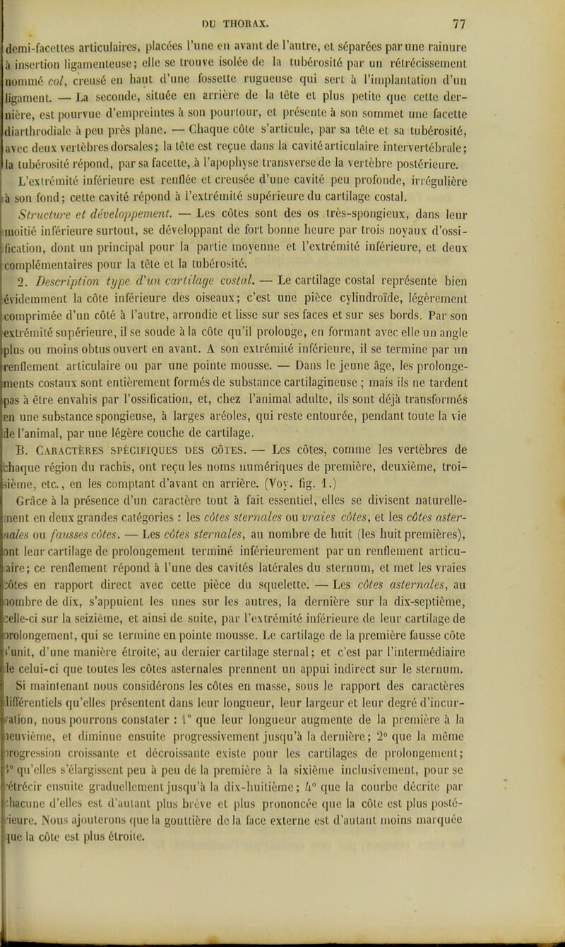 (icmi-faccttes articulaires, placées l'une c-ii avant de l'autre, et séparées par une rainure à insertion ligamenteuse; elle se trouve isolée de la tubérosité par un rétrécissement nommé col, creusé en haut d'une fossette rugueuse qui sert à l'implanlation d'un ligament. — La seconde, située en arrière de la tête et plus petite que cette der- nière, est pourvue d'empreintes h son pourtour, et présente à son sommet une facette diai tluodiale à peu près plane. — Chaque côte s'articulo, par sa tête et sa tubérosité, avec deux vertèbres dorsales; la tête est reçue dans la cavité articulaire intervertébrale; la tubérosité répond, par sa facette, à l'apophyse transverse de la vertèbre postérieure. L'exirémité inférieure est renflée et creusée d'une cavité peu profonde, irrégulière là son fond; cette cavité répond à l'extrémité supérieure du cartilage costal. Structure et développement. — Les côtes sont des os irès-spongieux, dans leur iraoitié inférieure surtout, se développant de fort bonne heure par trois noyaux d'ossi- ilication, dont un principal pour la partie moyenne et l'extrémité inférieure, et deux complémentaires pour la tête et la tubérosité. 2. Description type d'un cartilage costal. — Le cartilage costal représente bien évidemment la côte inférieure des oiseaux; c'est une pièce cylindroïde, légèrement comprimée d'un côté à l'autre, arrondie et lisse sur ses faces et sur ses bords. Par son extrémité supérieure, il se soude à la côte qu'il prolouge, en formant avec elle un angle plus ou moins obtus ouvert en avant. A son extrémité inférieure, il se termine par un renllement articulaire ou par une pointe mousse. — Dans le jeune âge, les prolonge- ments costaux sont entièrement formés de substance cartilagineuse ; mais ils ne tardent pas à être envahis par l'ossification, et, chez l'animal adulte, ils sont déjà transformés en une substance spongieuse, à larges aréoles, qui reste entourée, pendant toute la vie de l'animal, par une légère couche de cartilage. B. Caractères spécifiques des côtes. — Les côtes, comme les vertèbres de chaque région du rachis, ont reçu les noms numériques de première, deuxième, troi- sième, etc., en les comptant d'avant en arrière. (Voy. fig. 1.) GrAce à la présence d'un caractère tout à fait essentiel, elles se divisent naturelle- ment en deux grandes catégories : les côtes sternales ou vraies côtes, et les côtes aster- nales ou fausses côtes. — Les côtes sternales, au nombre de huit (les huit premières), ont leur cartilage de prolongement terminé inférieurement par un renllement arlicu- aire; ce renflement répond à l'une des cavités latérales du sternum, et met les vraies :ôlcs en rapport direct avec cette pièce du squelette. — Les côtes asternales, au nombre de dix, s'a))puicnt les unes sur les autres, la dernière sur la dix-septième, celle-ci sur la seizième, et ainsi de suite, par l'extrémité inférieure de leur cartilage de orolongement, qui se termine en pointe mousse. Le cartilage de la première fausse côte {'unit, d'une manière étroite; au dernier cartilage sternal; et c'est par l'intermédiaire île celui-ci que toutes les côtes asternales prennent un appui indirect sur le sternum. Si mainicnant nous considérons les côtes en masse, sous le rapport des caractères lifférentiels qu'elles présentent dans leur longueur, leur largeur et leur degré d'incur- ifalion, nous pourrons constater : 1° que leur longueur augmente de la première à la leuvième, et diminue ensuite progressivement jusqu'à la dernière; 2 que la même progression croissante et décroissante existe pour les cartilages de prolongement; 5° qu'elles s'élargissent peu à peu de la première à la sixième inclusivement, pour se •étrécir ensuite graduellement jusqu'à la dix-huitième; li° que la courbe décrite par chacune d'elles est d'auiant plus brève et plus prononcée que la côte est plus posté- •ieure. Nous ajouterons (|uc la gouttière delà face externe est d'autant moins marquée nue la côte est plus étroite.
