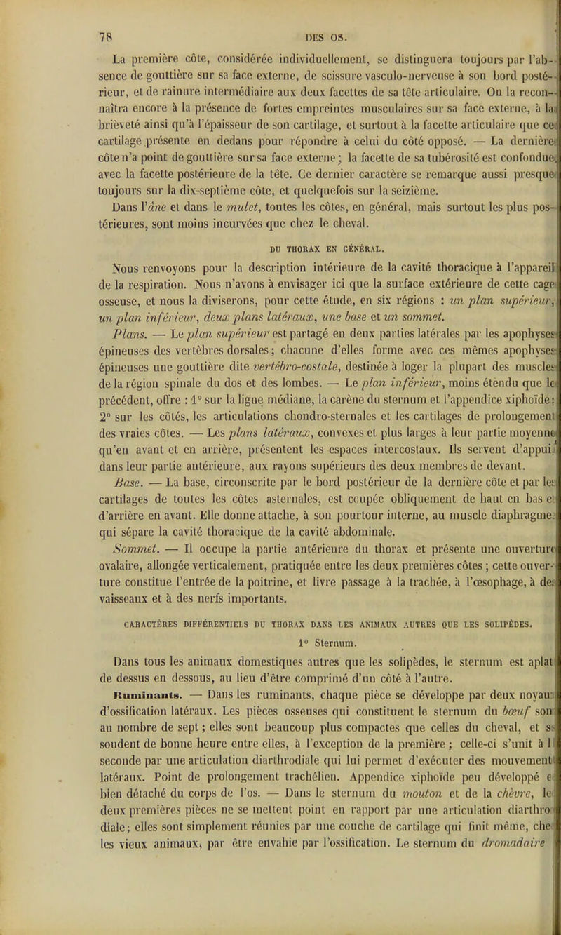 La première côte, considérée individuellemenl, se distinguera toujours p;ir l'ab-^ sence de gouttière sur sa face externe, de scissure vasculo-nerveuse à son bord posié-- rieur, elde rainure intermédiaire aux deux facettes de sa tête articulaire. On la recon- naîtra encore à la présence de fortes empreintes musculaires sur sa face externe, à la ( brièveté ainsi qu'à l'épaisseur de son cartilage, et surtout à la facette articulaire que cet cartilage présente en dedans pour répondre à celui du côté opposé. — La dernièret côte n'a point de gouttière sur sa face externe; la facette de sa tubérosité est confondue^ avec la facette postérieure de la tète. Ce dernier caractère se remarque aussi presque* toujours sur la dix-septième côte, et quelquefois sur la seizième. Dans l'âne et dans le mulet, toutes les côtes, en général, mais surtout les plus pos- térieures, sont moins incurvées que chez le cheval. BTI THORA.X EN GÉNÉRAL. Nous renvoyons pour la description intérieure de la cavité thoracique à l'appareil' de la respiration. Nous n'avons à envisager ici que la surface extérieure de cette cage osseuse, et nous la diviserons, pour cette étude, en six régions : un plan supérienr, un plan inférieur, deux plans latéraux, une base et un sommet. Plans. — Le plan supérieur est partagé en deux parties latérales par les apophyses épineuses des vertèbres dorsales ; chacune d'elles forme avec ces mêmes apophyse;- épineuses une gouttière dite vertébro-costale, destinée à loger la plupart des muscler de la région spinale du dos et des lombes. — Le plan inférieur, moins étendu que k précédent, offre : 1 sur la ligne médiane, la carène du sternum et l'appendice xiphoïdc ; 2° sur les côtés, les articulations chondro-sternales et les cartilages de prolougemeni des vraies côtes. — Les plans latéî'aux, convexes et plus larges à leur partie moyenne, qu'en avant et en arrière, présentent les espaces intercostaux. Ils servent d'appui.; dans leur partie antérieure, aux rayons supérieurs des deux membi es de devant. Base. — La base, circonscrite par le bord postérieur de la dernière côte et par le: cartilages de toutes les côtes asternales, est coupée obliquement de haut en bas ei' d'arrière en avant. Elle donne attache, à son pourtour interne, au muscle diaphragme.^ qui sépare la cavité thoracique de la cavité abdominale. Sommet. — Il occupe la partie antérieure du thorax et présente une ouverture ovalaire, allongée verticalement, pratiquée entre les deux premières côtes ; cette ouver-- ture constitue l'entrée de la poitrine, et livre pa.ssage à la trachée, à l'œsophage, à det vaisseaux et à des nerfs importants. CARACTÈRES DIFFÉRENTIELS DU THORAX DANS LES ANIMAUX AUTRES QUE LES SOLIPÉDES. 1° Sternum. Dans tous les animaux domestiques autres que les solipèdes, le sternum est aplat de dessus en dessous, au lieu d'être comprimé d'un côté à l'autre. Ruminants. — Dans les ruminants, chaque pièce se développe par deux noyau ' d'ossification latéraux. Les pièces osseuses qui constituent le sternum du bœuf son au nombre de sept; elles sont beaucoup plus compactes que celles du cheval, et s soudent de bonne heure entre elles, à l'exception de la première ; celle-ci s'unit à I seconde par une articulation diarihrodiale qui lui permet d'exécuter des mouvement latéraux. Point de prolongement irachélien. Appendice xiphoïde peu développé e ; bien détaclié du corps de l'os. — Dans le sternum du mouton et de la chbm'c, Ici deux premières pièces ne se mettent point en rapport par une articulation diarthro diale; elles sont simplement réunies par une couche de cartilage qui finit même, chct les vieux animaux, par être envahie par l'ossification. Le sternum du dromadaire