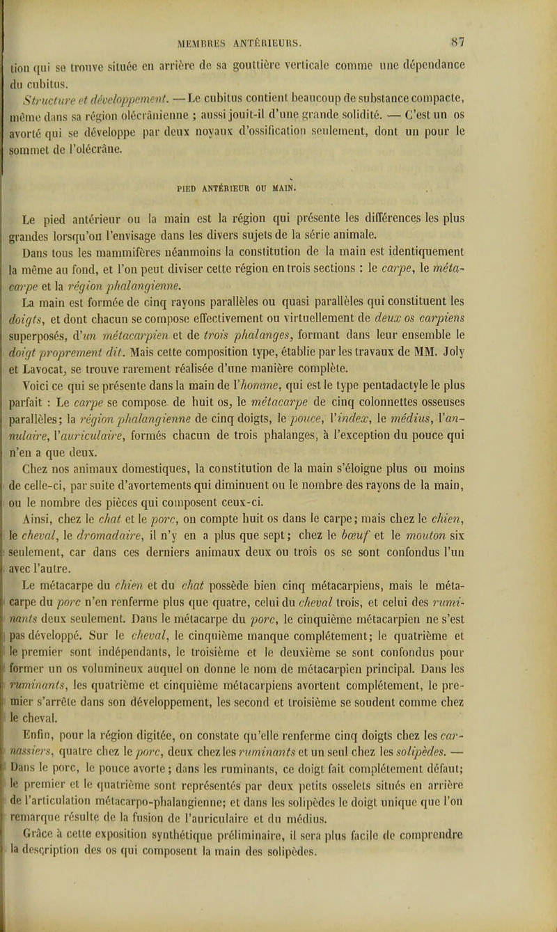 lion f[ui so trouve située en arrière de sa gouttière verticale comme une dépendance du cubitus. Structure et développement. —Le cubitus contient beaucoup de Rul)stance compacte, même dans sa région olécrânienne ; aussi jouit-il d'une grande solidité. — C'est un os avorté qui se développe i)ar deux noyaux d'o-ssificaliou seulement, dont un pour le sommet de l'olécràne. PIED ANTÉRIEUR OU MAIN. Le pied antérieur ou la main est la région qui présente les différences les plus grandes lorsqu'on l'envisage dans les divers sujets de la série animale. Dans tous les mammifères néanmoins la conslitution de la main est identiquement la même au fond, et l'on peut diviser cette région en trois sections : le carpe, le méta- carpe et la région phalangienne. La main est formée de cinq rayons parallèles ou quasi parallèles qui constituent les doigts, et dont chacun se compose effectivement ou virtuellement de deux os carpiem superposés, d'«n métacarpien et de trois phalanges, formant dans leur ensemble le doigt proprement dit. Mais cette composition type, établie par les travaux de MM. Joly et Lavocatj se trouve rarement réalisée d'une manière complète. Voici ce qui se présente dans la main de l'homme, qui est le type pentadactyle le plus parfait : Le carpe se compose, de huit os^ le métacarpe de cinq colonnettes osseuses parallèles; la région phalangienne de cinq doigts, le pouce, V index, le médius, Y an- nulaire, Vauriculaire, formés chacun de trois phalanges, à l'exception du pouce qui n'en a que deux. Chez nos animaux domestiques, la constitution de la main s'éloigne plus ou moins de celle-ci, par suite d'avortements qui diminuent ou le nombre des rayons de la main, ou le nombre des pièces qui composent ceux-ci. Ainsi, chez le chai et le porc, on compte huit os dans le carpe; mais chez le chien, le cheval, le dromadaire, il n'y en a plus que sept; chez le bœuf et le mouton six seulement, car dans ces derniers animaux deux ou trois os se sont confondus l'un avec l'autre. Le métacarpe du chien et du chat possède bien cinq métacarpiens, mais le méta- carpe du porc n'en renferme plus que quatre, celui du cheval trois, et celui des rumi- nants deux seulement. Dans le métacarpe du porc, le cinquième métacarpien ne s'est pas développé. Sur le cheval, le cinquième manque complètement; le quatrième et le premier sont indépendants, le troisième et le deuxième se sont confondus pour former un os volumineux auquel on donne le nom de métacarpien principal. Dans les ruminants, les quatrième et cinquième métacarpiens avortent complètement, le pre- I mier s'arrête dans son développement, les second et troisième se soudent comme chez le cheval. Enfin, pour la région digitée, on constate qu'elle renferme cinq doigts chez lesc«?'- nassiers, quatre chez le porc, deux chez les ruminants et un seul chez les solipèdes. — Dans le porc, le pouce avorte ; dans les ruminants, ce doigt fait complètement défaut; le premier et le quatrième sont représentés par deux i)ctils osselets situés en arrière de l'articulation mélacarpo-plialangienne; et dans les solipèdes le doigt unique que l'on remarque résulte de la fusion de l'auriculaire et du médiu.s. Grâce à cette exposition synthétique préliminaire, il sera plus facile de comprendre la dcsQription des os qui composent la main des solipèdes.