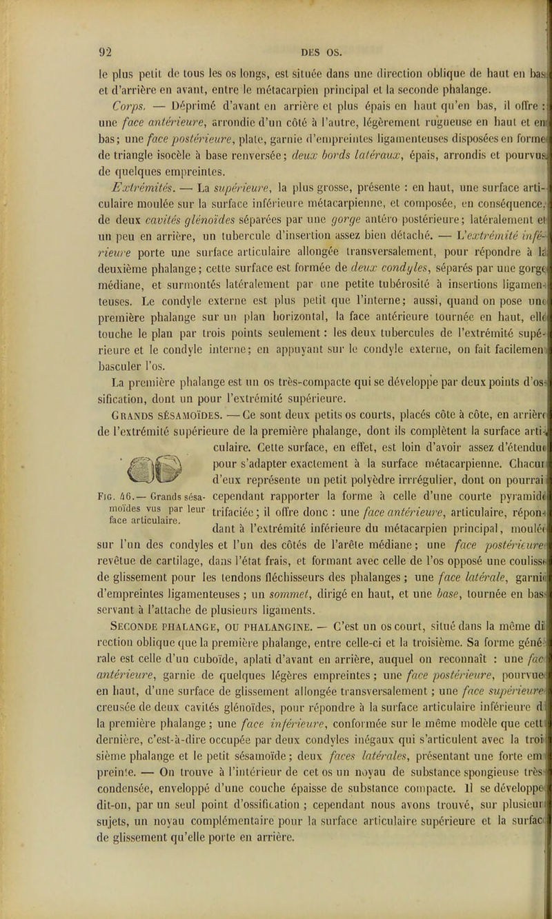 le plus petit de tous les os longs, est située dans une direction oblique de haut en bas et d'arrière en avant, entre le métacarpien principal et la seconde phalange. Corps. — Déprimé d'avant en arrière et plus épais en haut qu'en bas, il olîre : une face antmeure, arrondie d'un côté à l'autre, légèrement rugueuse en haut ei eni bas; une face postérieure, plaie, garnie d'empreintes iigainenleuses disposées en formel de triangle isocèle à base renversée ; deux bords latéraux, épais, arrondis et pourvus de quelques empreintes. Extrémités. — La supérieure, la plus grosse, présente : en haut, une surface arti- culaire moulée sur la surface inférieure métacarpienne, et composée, en conséquence, de deux cavités glénoïdes séparées par ime gorge antéro postérieure; latéralement el un peu en arrière, un tubercule d'insertion assez bien détaché. — Vextrémité infé- rieure porte une surface articulaire allongée transversalement, pour répondre à M deuxième phalange; cette surface est formée de deux condyles, séparés par une gorgt médiane, et surmontés latéralement par une petite tubérosiié à insertions ligamen-; teuscs. Le condyle externe est plus petit que l'iiilerne; aussi, quand on pose un« première phalange sur un plan horizontal, la face antérieure tournée en haut, elle touche le plan par trois points seulement : les deux tubercules de l'extrémité supé^ rieure et le condyle interne; en appuyant sur le condyle externe, on fait facilemen basculer l'os. La première phalange est un os très-compacte qui se développe par deux points d'osr sification, dont un pour l'extrémité supérieure. Grands sésamoïdes. —Ce sont deux petits os courts, placés côte à côte, en arrière de l'extrémité supérieure de la première phalange, dont ils complètent la surface arti-i, culaire. Cette surface, en effet, est loin d'avoir assez d'étendue î^^i^pour s'adapter exactement à la surface métacarpienne. Chacui NSsJv-fc^ d'eux représente un petit polyèdre irrrégulier, dont on pourrai FiG. ^6.—Grands sésa- cependant rapporter la forme à celle d'une courte pyramide moides vus par leur trifaclée ; il oITre donc : une face antérieure, articulaire, répon^ face articulaire. , ^ ' ' , . ... dant a 1 extrémité mferieure du métacarpien principal, moulée sur l'un des condyles et l'un des côtés de l'arête médiane ; une face postérieure- revêtue de cartilage, dans l'état frais, et formant avec celle de l'os opposé une couliss^ de glissement pour les tendons fléchisseurs des phalanges ; une face latérale, garnin d'empreintes ligamenteuses ; un sommet, dirigé en haut, et une base, tournée en basr servant à l'attache de plusieurs ligaments. Seconde phalange, ou phalangine. - C'est un os court, situé dans la même dil rection oblique que la première phalange, entre celle-ci et la troisième. Sa forme généi' raie est celle d'un cuboïde, aplati d'avant en arrière, auquel on reconnaît : une fac antérieure, garnie de quelques légères empreintes ; une face postérieure, pourvue- en haut, d'une surface de glissement allongée transversalement ; une face supéneure» creusée de deux cavités glénoïdes, pour répondre à la surface articulaire inférieure d la première phalange ; une face inférieure, conformée sur le même modèle que cetti dernière, c'est-à-dire occupée par deux condyles inégaux qui s'articulent avec la troi» sième phalange et le petit sésamoïde ; deux faces latérales, présentant une forte emn prein'.e. — On trouve à l'intérieur de cet os un nv)yau de substance s{X)ngieuse très- condensée, enveloppé d'une couche épaisse de substance compacte. 11 se développe* dit-on, par un seul point d'ossification ; cependant nous avons trouvé, sur plusicuii sujets, un noyau complémentaire pour la surface articulaire supérieure et la surfact de glissement qu'elle porte en arrière.