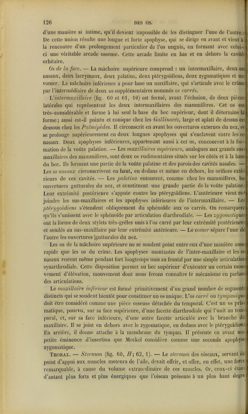 d'une manière si intime, qu'il devient impossible de les distinguer l'une de l'autre. De cette union résulte une longue et forte apophyse, qui se dirige en avant et vient à la rencontre d'un prolongement particulier de l'os unguis, en formant avec celui ci une véritable arcade osseuse. Celte arcade limite en bas et en dehors la cavité > orbitaire. 1 Os de la face. — La mâchoire supérieure comprend : un intermaxillaire, deux oaC nasaux, deux lacrymaux, deux palatins, deux ptérygoïdiens, deux zygomatiques et una vomer. La mâchoire inférieure a pour base un maxillaire, qui s'articule avec le crânai par l'intermédiaire de deux os supplémentaires nommés os carrés. I Vintermaxillaire (fig. 60 et 61, 10) est formé, avant l'éclosion, de deux pièce?» latérales qui représentent les deux intermaxillaires des mammifères. Cet os esi ( très-considérable et forme à lui seul la base du bec supérieur, dont il détermine 1 forme ; aussi est-il pointu et conique chez les Gallinacés, large et aplati de dessus ei dessous chez les Palmipèdes. Il circonscrit en avant les ouvertures externes du nez, < se prolonge supérieurement en deux longues apophyses qui s'enclavent entre les ii nasaux. Deux apophyses inférieures, appartenant aussi à cet os, concourent à la for malion de la voûte palatine. — Les maxillaires supérieurs, analogues aux grands su maxillaires des mammifères, sont deux os rudimentaires situés sur les côtés et à la ba.^ du bec. Us forment une partie de la voûte palatine et des parois des cavités nasales. — Les os nasaux circonscrivent en haut, en dedans et même en dehors, les orifices exlc rieurs de ces cavités. •— Les pjalatins entourent, comme chez les mammifères, k ouvertures gutturales du nez, et constituent une grande partie de la voûte palatine. Leur extrémité postérieure s'appuie contre les ptérygoïdiens. L'antérieure vient re-^ joindre les sus-maxillaires et les apophyses inférieures de l'intermaxillaire. — Les ptérygoïdiens s'étendent obliquement du sphénoïde aux os carrés. On remarquer? qu'ils s'unissent avec le sphénoïde par articulation diarthrodiale. — Les zt/gomadque» ont la forme de deux stylets très-grêles unis à l'os carré par leur extrémité postérieure! et soudés au sus-maxillaire par leur extrémité antérieure. — Le vomer sépare l'une dd l'autre les ouvei'tures [gutturales du nez. Les os de la mâchoire supérieure ne se soudent point entre eux d'une manière ausss rapide que les os du crâne. Les apophyses montantes de l'inter-maxillaire et les or nasaux restent môme pendant fort longtemps unis au frontal par une simple articulatioi synarthrodiale. Cette disposition permet au bec supérieur d'exécuter un certain moi vement d'élévation, mouvement dont nous ferons connaître le mécanisme en purlau i des articulations. j Le maxillaire inférieur est formé primitivement d'un grand nombre de segmenU^ distincts qui se soudent bientôt pour constituer un os unique. L'os carré ou tijmpaniqm doit être considéré comme une pièce osseuse détachée du temporal. C'est un os pris-s matique, pourvu, sur sa face supérieure, d'une facette diarthrodiale qui l'unit au tem-i poral, et, sur sa face inférieure, d'une autre facette articulée avec la branche dt! maxillaire. Il se joint en dehors avec le zygomatique, en dedans avec le ptérygoïdien. Eu arrière, il donne attache à la membrane du tympan. Il présente en avant uik petite éminence d'insertion que Meckel considère comme une seconde apophyst zygomatique. Thorax. — Sternum (fig. 60, //; 62,1). — Le sternujn des oiseaux, servant dd point d^appui aux muscles moteurs de l'aile, devait offrir, et offre, en effet, une forcd remarquable, à cause du volume extraordinaire de ces muscles. Or, ceux-ci étan d'autant plus forts et plus énergiques que l'oiseau présente h un plus haut degr<