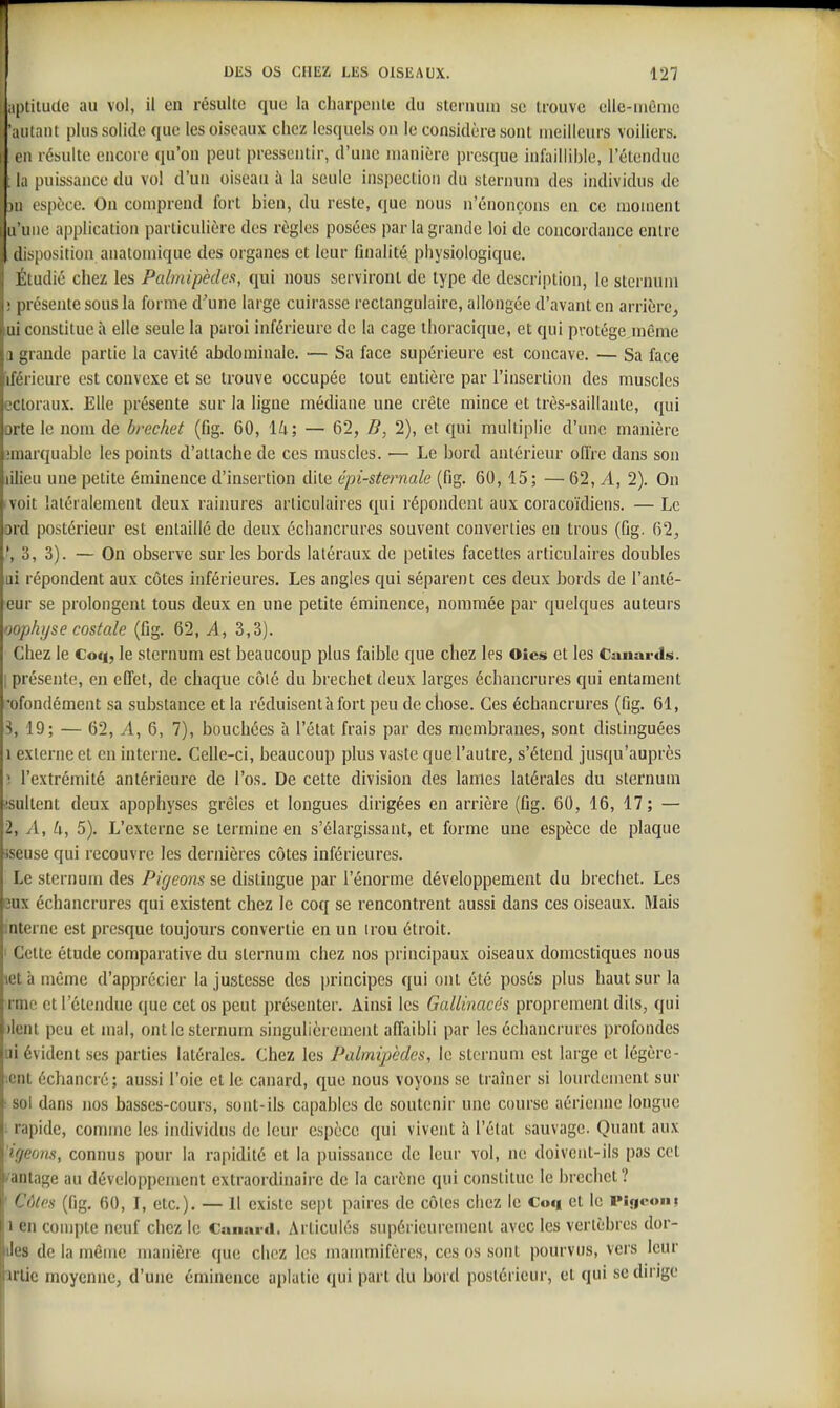 aptitude au vol, il en résulte que la charpente du sternum se trouve elle-même 'aillant plus solide que les oiseaux chez lesquels on le considère sont meilleurs voiliers. i ii résulte encore qu'on peut pressentir, d'une manière presque infaillible, l'étendue la puissance du vol d'un oiseau à la seule inspection du sternum des individus de 11) espèce. On comprend fort bien, du reste, que nous n'énonçons en ce moment l u'uiie application particulière des règles posées par la grande loi de concordance entre disposition anatomique des organes et leur finalité physiologique. Eludié chez les Palmipèdes, qui nous serviront de type de description, le sternum ■ lu ôsente sous la forme d'une large cuirasse rectangulaire, allongée d'avant en arrière, ui constitue à elle seule la paroi inférieure de la cage thoracique, et qui pvotége même 1 ande partie la cavité abdominale. — Sa face supérieure est concave. — Sa face lU rieure est convexe et se trouve occupée tout entière par l'insertion des muscles cioraux. Elle présente sur la ligne médiane une crête mince et très-saillanle, qui ii te le nom de bréchet (fig. 60, 14; — 62, B, 2), et qui multiplie d'une manière Miarquable les points d'attache de ces muscles. — Le bord antérieur offre dans son lilieu une petite éminence d'insertion dite épi-sternale (fig. 60, 15; —62, A, 2). On voit latéralement deux rainures articulaires qui répondent aux coracoïdiens. — Le ord postérieur est entaillé de deux échancrures souvent converties en trous (fig. 62, ', 3, 3). — On observe sur les bords latéraux de petites facettes articulaires doubles ui répondent aux côtes inférieures. Les angles qui séparent ces deux bords de l'anlé- eur se prolongent tous deux en une petite éminence, nommée par quelques auteurs oophi/se costale (fig. 62, A, 3,3). Chez le Coq, le sternum est beaucoup plus faible que chez les Oîes et les Canards. I présente, en effet, de chaque côié du bréchet deux larges échancrures qui entament •ofondément sa substance et la réduisent à fort peu de chose. Ces échancrures (fig. 61, 3, 19; — 62, A, 6, 7), bouchées à l'état frais par des membranes, sont distinguées 1 externe et en interne. Celle-ci, beaucoup plus vaste que l'autre, s'étend jusqu'auprès l'extrémité antérieure de l'os. De cette division des lames latérales du sternum «ultent deux apophyses grêles et longues dirigées en arrière (fig. 60, 16, 17; — 2, A, k, 5). L'externe se termine en s'élargissant, et forme une espèce de plaque •iseuse qui recouvre les dernières côtes inférieures. Le sternum des Pirjeons se distingue par l'énorme développement du bréchet. Les eux échancrures qui existent chez le coq se rencontrent aussi dans ces oiseaux. Mais interne est presque toujours convertie en un irou étroit. ' Cette étude comparative du sternum chez nos principaux oiseaux domestiques nous let à même d'apprécier la justesse des principes qui ont été posés plus haut sur la rme et l'étendue que cet os peut i)résenter. Ainsi les Gallinaccs proprement dits, qui )lent peu et mal, ont le sternum singulièrement affaibli par les échancrures profondes ui évident ses parties latérales. Chez les Palmipèdes, le sternum est large et légère- ment échancré; aussi l'oie et le canard, que nous voyons se traîner si lourdement sur ■ sol dans nos basses-cours, sont-ils capables de soutenir une course aérienne longue ■■ rapide, comme les individus de leur espèce qui vivent à l'état sauvage. Quant aux 'igeons, connus pour la rapidité et la puissance de leur vol, ne doivent-ils pas cet /antage au développement extraordinaire de la carène qui constitue le bréchet? ' Cûles (fig. 60, I, etc.). — Il existe sept paires de côtes chez le Coq et le rigt-om 1 en compte neuf chez le Canard. Articulés supérieurement avec les vertèbres dor- Jes de la môme manière que chez les manmiifères, ces os sont pourvus, vers leur îriie moyenne, d'une éminence aplatie qui part du bord postérieur, et qui se dirige