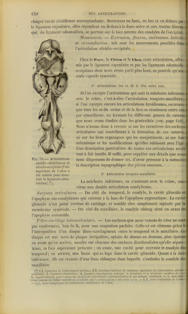 chaque cavité ailoïclienne correspondante. Soutenues en haut, en bas et en dehors par le ligament capsulaire, elles répondent en dedans à la dure-mère et aux iraclus fiijreuxN qui, du ligament odontoïdien, se portent sur la face interne des coudyles de l'occipital. Mouvements. — Extension, flexion, inclinaison latérale' et circumduction : tels sont les mouvements possibles dans l'articulation atloïdio-occipitale. Chez le Porc, le Chien et le Chat, cette articulation, affer- mie par le ligament capsulaire et par les ligamçnts odontoïdo-i occipitaux dont nous avons parlé plus haut, ne possède qu'une^ seule capsule synoviale. 3° Articulations des os de la tète entre eux. Si l'on excepte l'articulation qui unit la mâchoire inférieurei avec le crâne, c'est-à-dire l'articulation lemporo-maxillaire; si l'on excepte encore les articulations hyoïdiennes, on trouve que tous les os du crâne et de la face se réunissent entre euxj par synarthrose, en formant les différents genres de sutures' que nous avons étudiés dans les généralités (voy. page IZiO). Nous n'avons donc à revenir ni sur les caractères des surfaces' articulaires qui contribuent à la formation de ces sutures, ni sur les liens organiques qui les assujettissent, ni sur leur mécanisme et les modifications qu'elles subissent avec l'âge.' Une description particulière de toutes ces articulations serait» tout à fait inutile. Il suffit, pour suppléer aux détails que nous nous dispensons de donner ici, d'avoir présente à la mémoire' la description topographique des pièces osseuses. FiG. 70.— Articulations axoïdo-atloïdienne et atloïdo-occipitale (l'arc supérieur de l'atlas a été enlevé pour mon- trer le ligament odon- toïdien) (*). h° Articulation temporo-niaxillaire. La mâchoire inférieure, en s'unissant avec le crâne, coni stitue une double articulalion condylienne. Surfaces articulaires. — Du côté du temporal, le condyle, la cavité glénoïde et l'apophyse sus-condylienne qui existent à la base de l'apophyse zygomalique, La cavitéi glénoïde n'est point revêtue de cartilage, et semble être simplement tapissée par la- membrane synoviale. — Du côté du maxillaire, le condyle oblong situé en avant de' l'apophyse coronoïde. Fibro-cartilage interarticulaire. — Les surfaces que nous venons de citer ne sont pas conformées, loin de là, pour une coaptation parfaite. Celle-ci est obtenue grâce ài l'interposition d'un disque fibro-cartilagineux entre le temporal et le maxillaire. Cet disque est une sorte de plaque irrégulière, aplatie de dessus en dessous, plus épaissw en avant qu'en arrière, moulée sur chacune des surfaces diarthrodiales qu'elle sépare.' Ainsi, sa face supérieure présente : en avant, une cavité pour recevoir le condyle duc' temporal ; en arrière, une bosse qui se loge dans la cavité glénoïde. Quant à la faceii inférieure, elle est creusée d'une fosse oblongue dans laquelle s'emboîte le condyle dui maxillaire. (*) 1,1, fnispennx do rnnfoi'coment, mrdinns; 2,2, liiispeniix lat^riiiix du ligament najisulftii'P de rnfticnlnlion ntlnido- • ncnipitnie; 3, ligament oclontoidicn ; 4, ligament intcn'ipinenx unissant la deuxième cl la ti'oisième vertèlu'o du enii; 5, capsule libreuse pour 1 union des apophyses arlietdaires enrrespondantes de ces mi^mes vertèbres. — A, trou anté- rieur interne île l'atlas eonverti en gouttière par la seetion qu'on a lait subir ù l'os. — trous tracbèlicns de l'ulias.- — C,C, trous remplaçant les ècbanei'ures antérieures de l'axis.